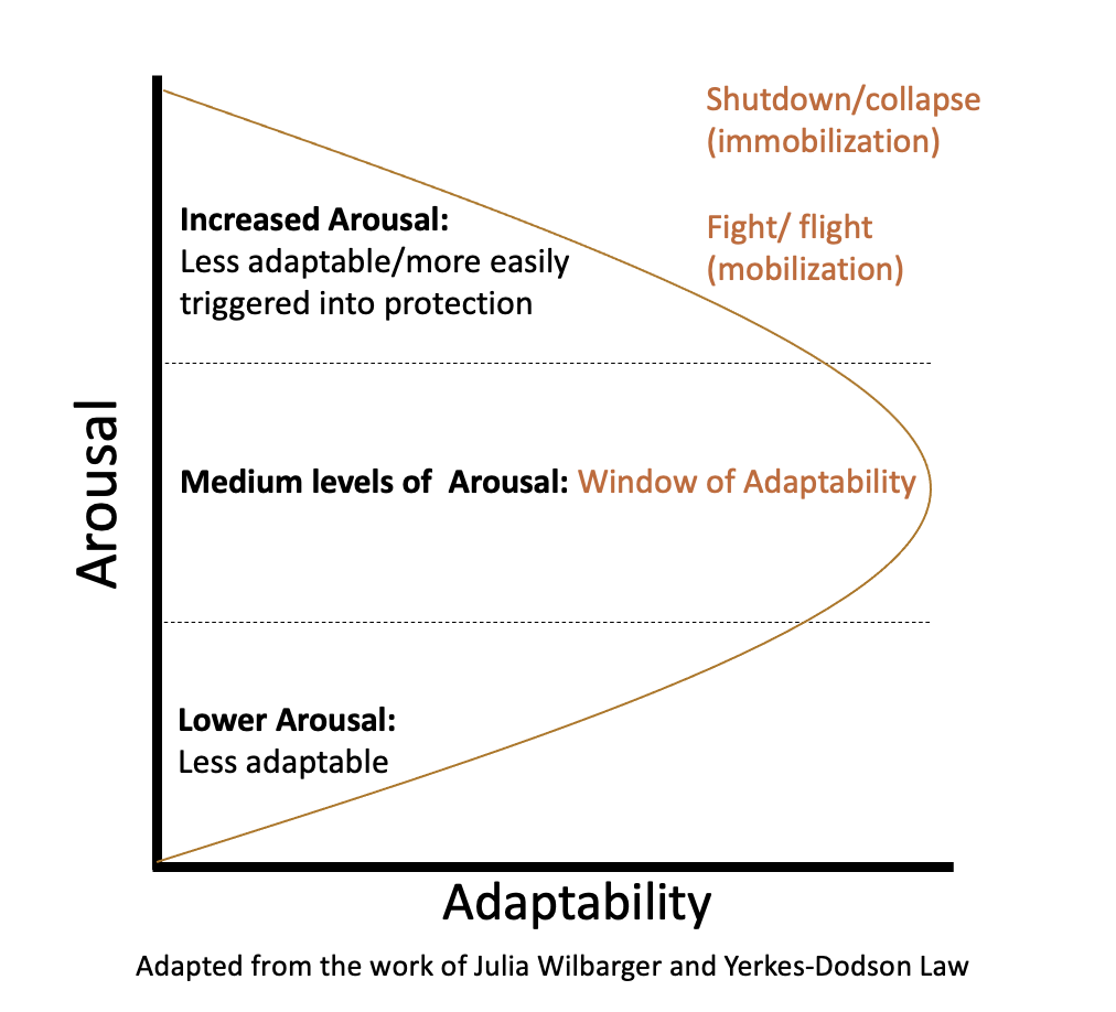 How can we use concepts of felt safety to increase emotional ...
