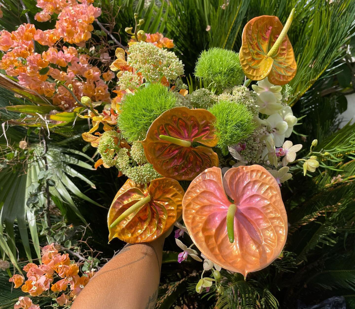 Pop of peach pinch of funk dash of disco 🎨

#DestinationFlorist #beach florist #kauaiweddingflorist #kauaibrides #kauaiweddingflowers #FlowersEverywhere #FloralArt #FloralDesign #FloralArrangements #FloralDecor #FlowerDelivery #FlowerBouquets #Flowe