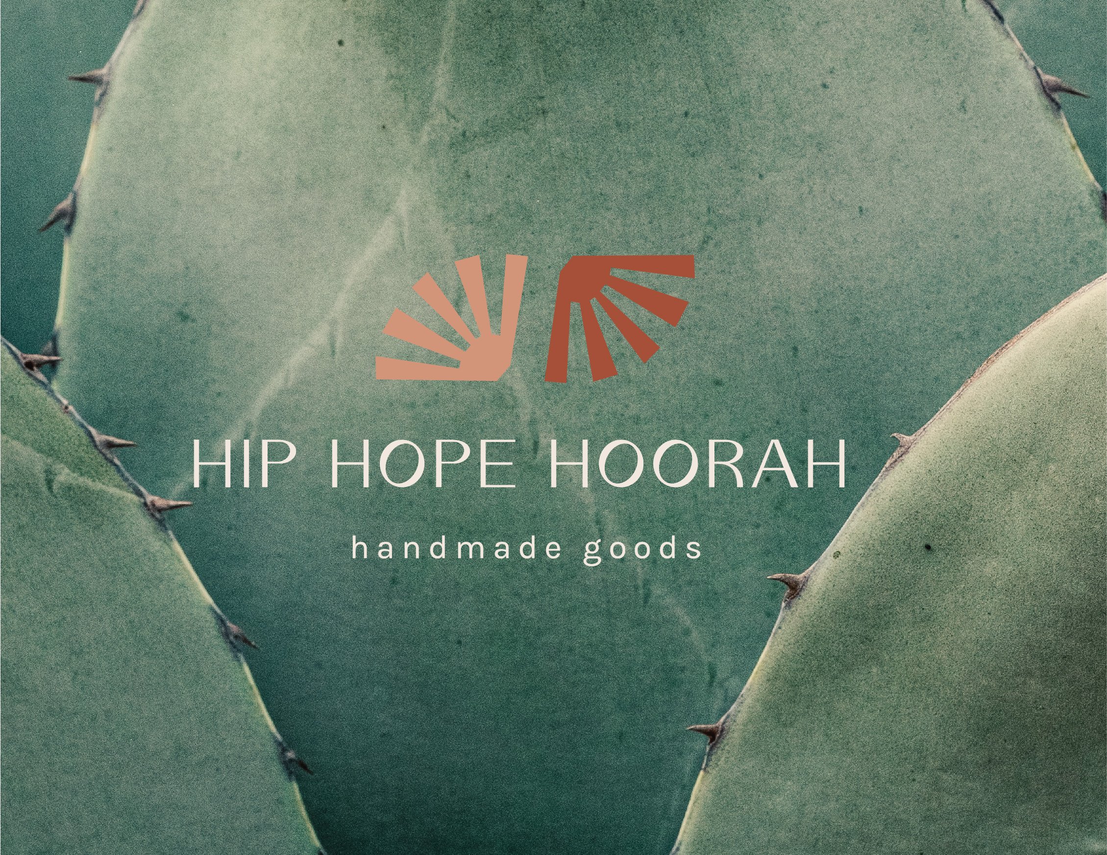 ash-and-air-creative-portfolio-branding-web-design-hip-hope-hoorah-03.jpg