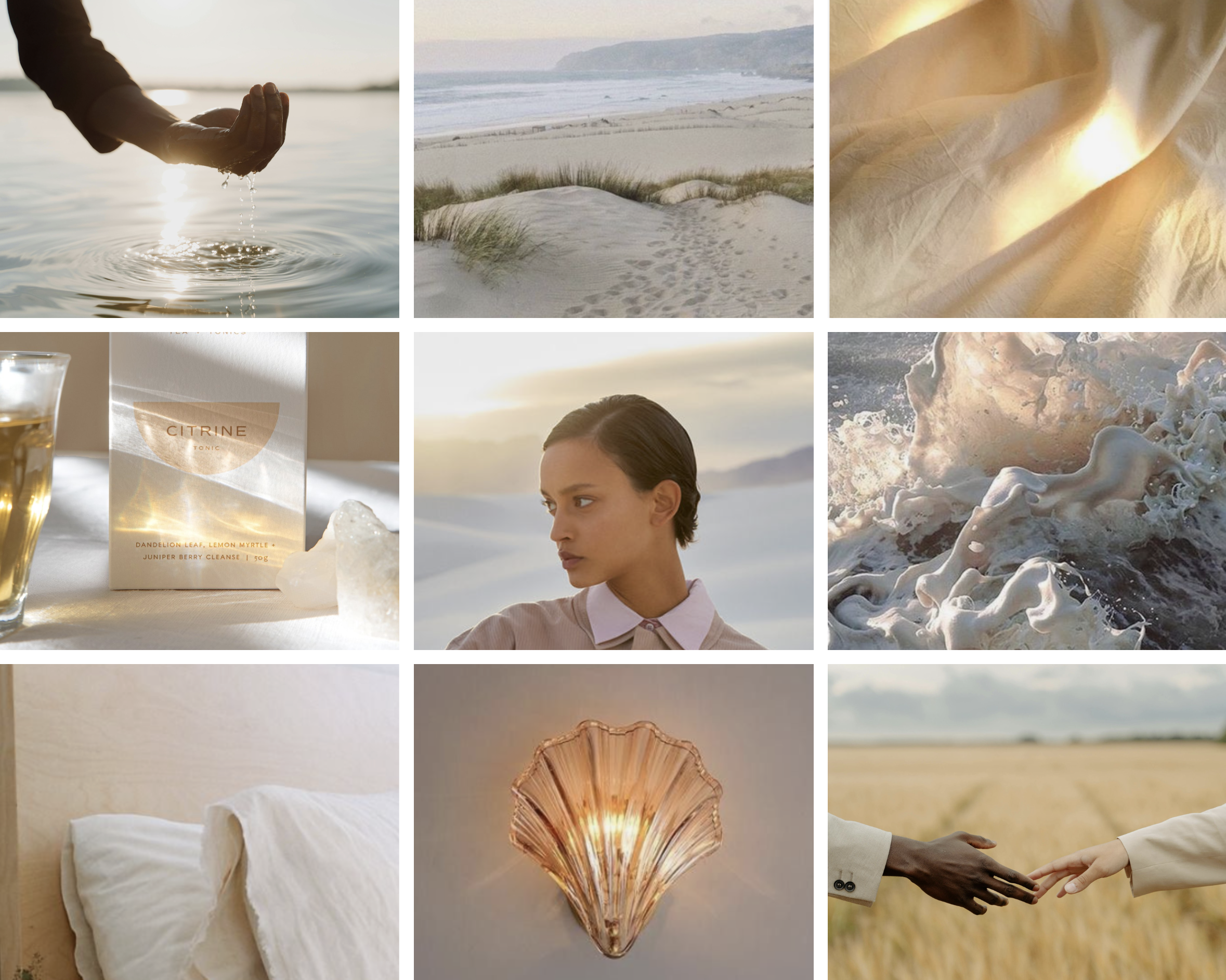 ash-and-air-creative-portfolio-molly-zuker-moodboard.png