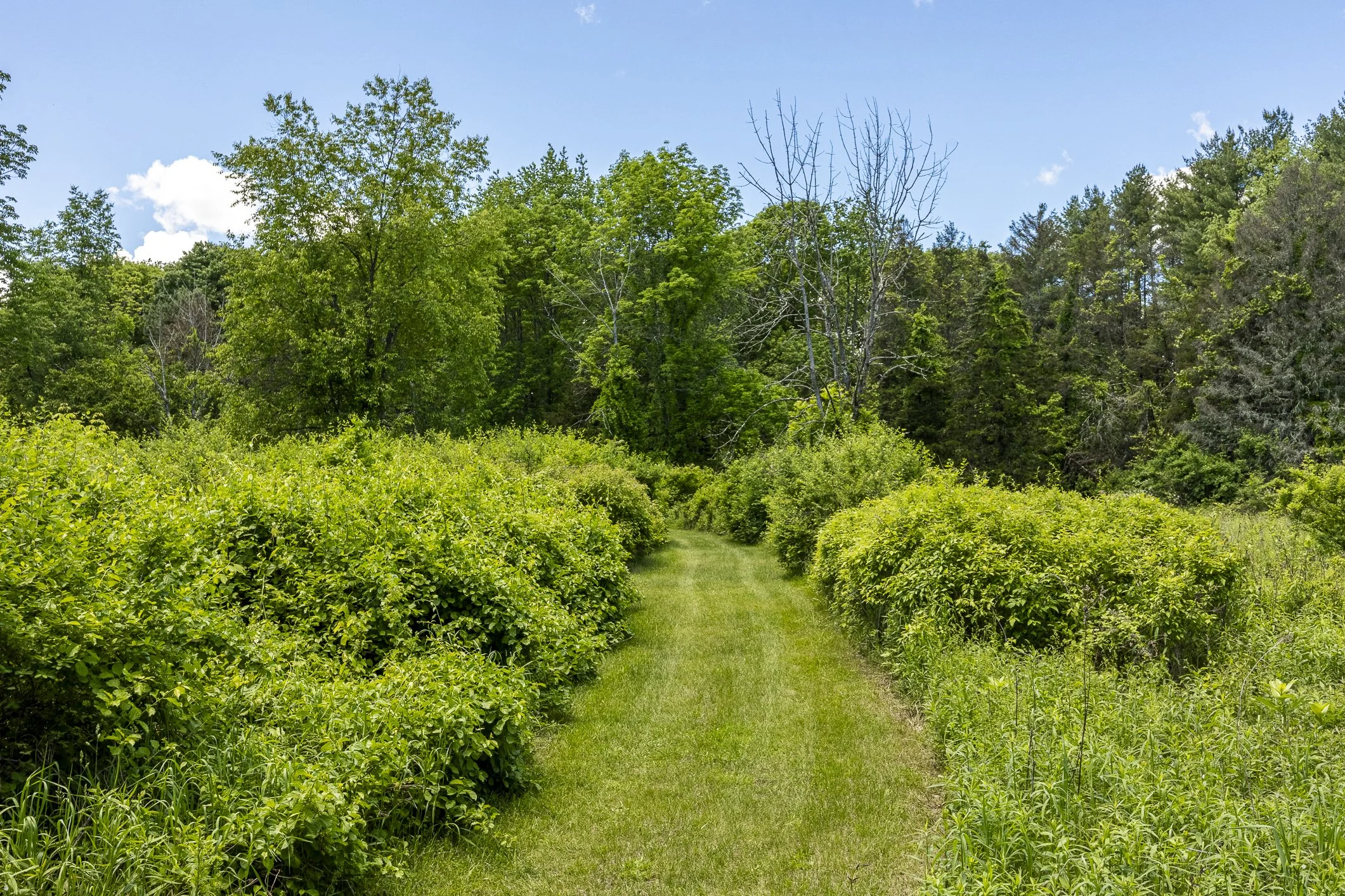 1028JCR_119.jpg