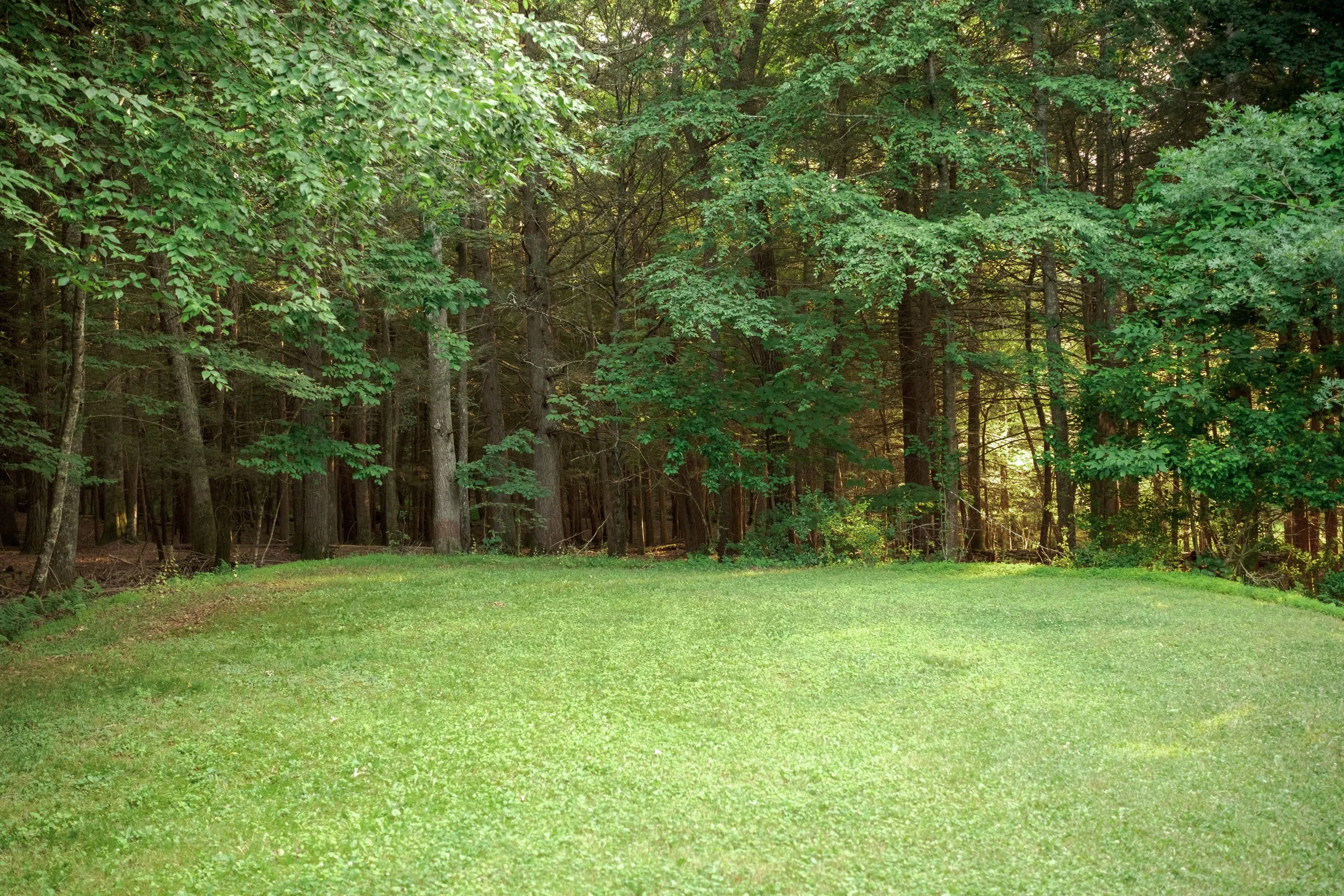 28_MrsFranks_Road_MBJ-40.jpg
