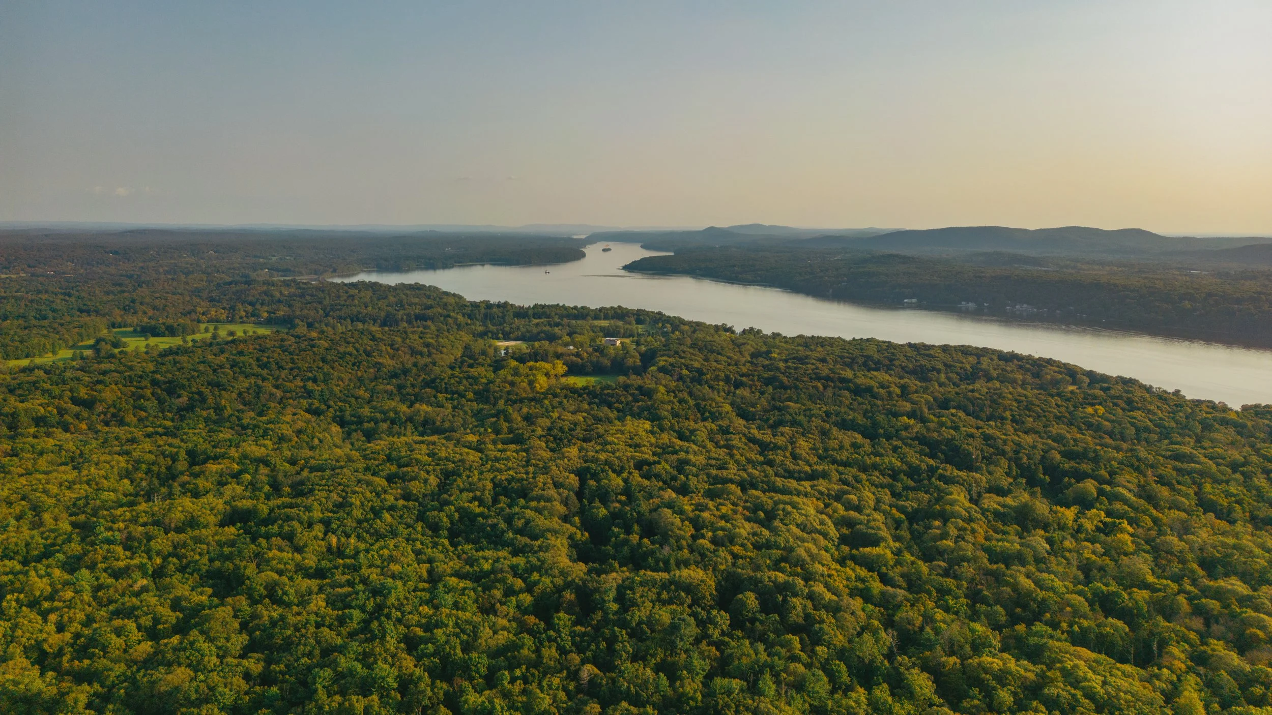 Aerial view of a lush green forest with a river flowing through it and distant hills in the background.