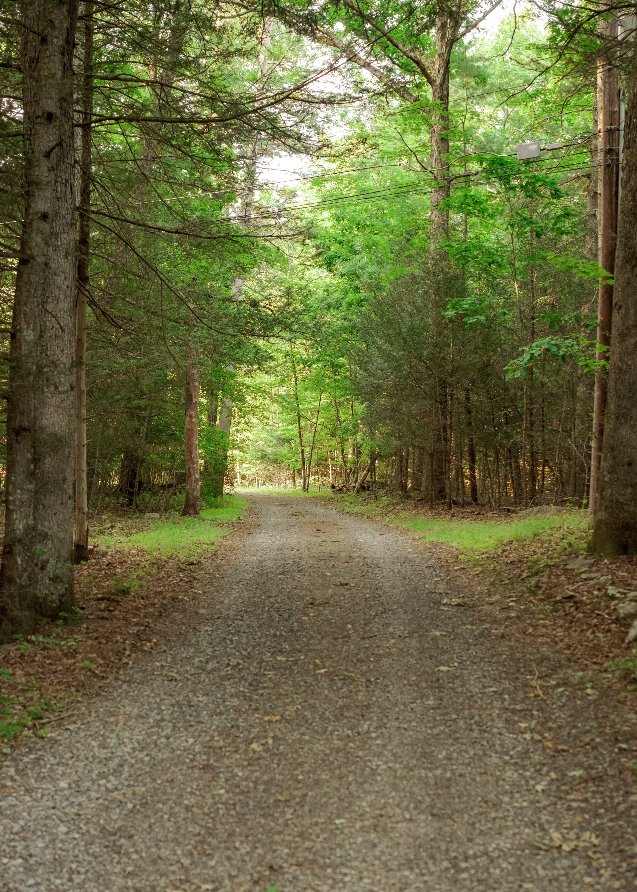 28_MrsFranks_Road_MBJ-44.jpg