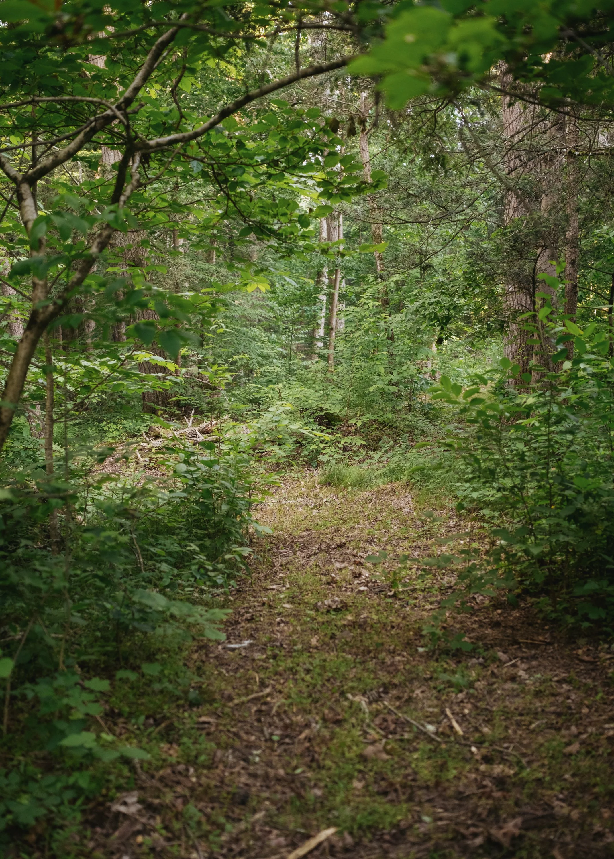 82_Near_Road_MBJ-40.jpg