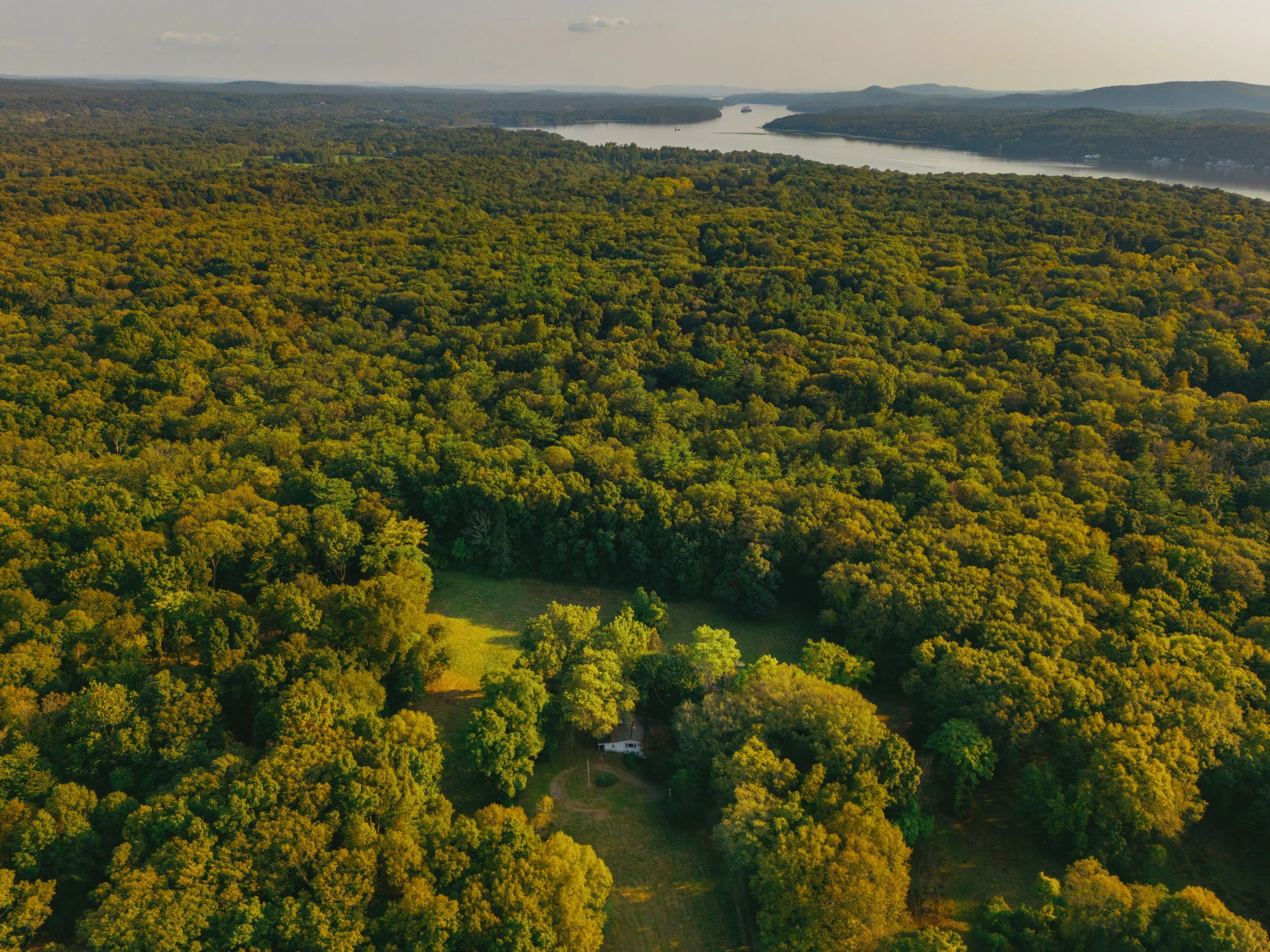 Aerial view of a dense green forest with a house and clearing at the bottom, and a large river winding through hills in the distance.