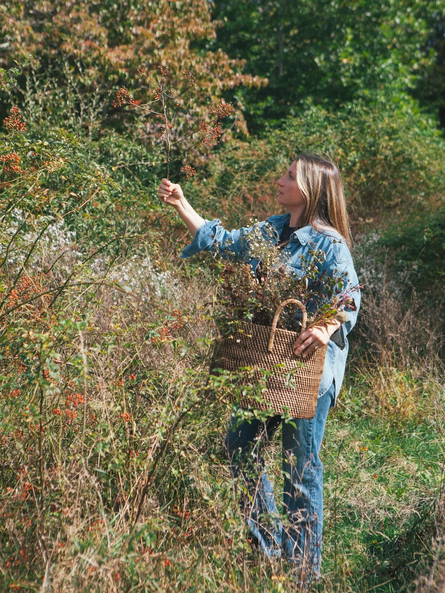 Foraging the edges where the wild things grow&hellip;where each stem feels like a small reminder to slow down and notice what&rsquo;s in bloom, even as the season turns.