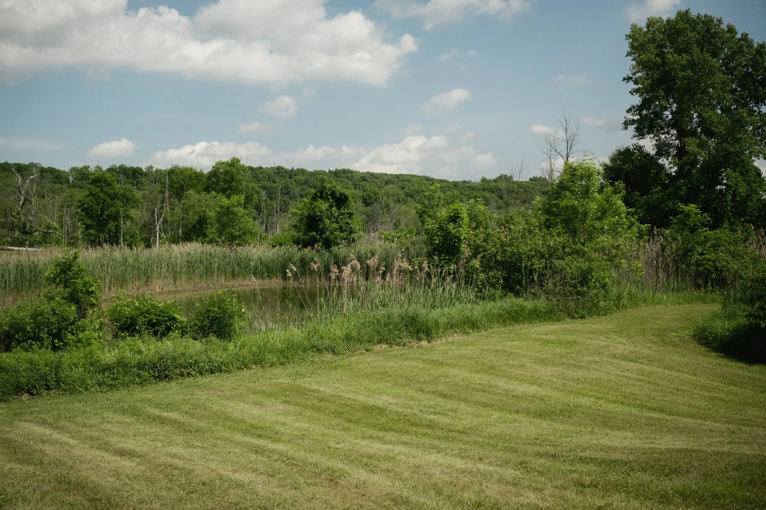 1425_Centre_Road_MBJ-12.jpg