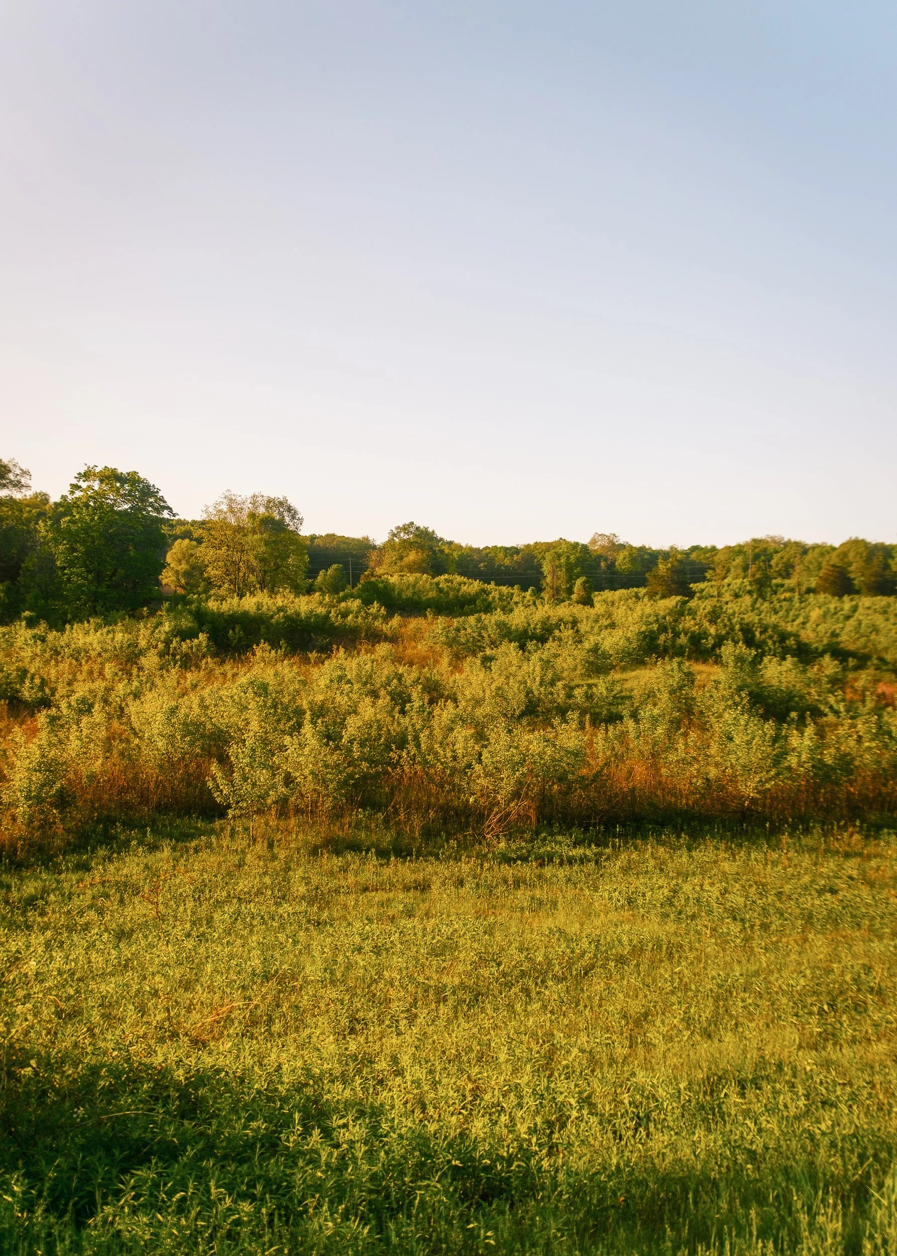 Rhinebeck_Property_MB-33.jpg