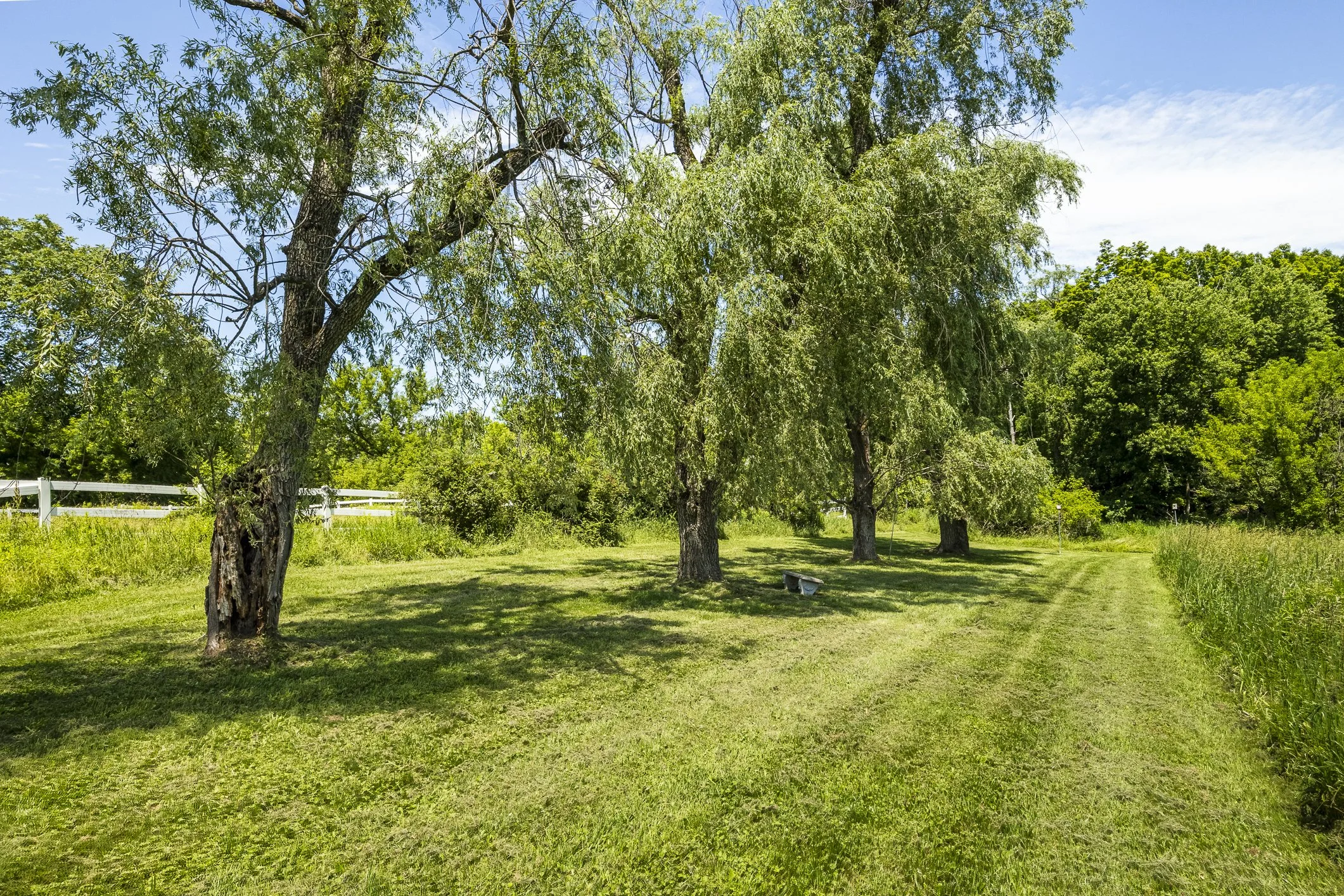 91LR_055.jpg