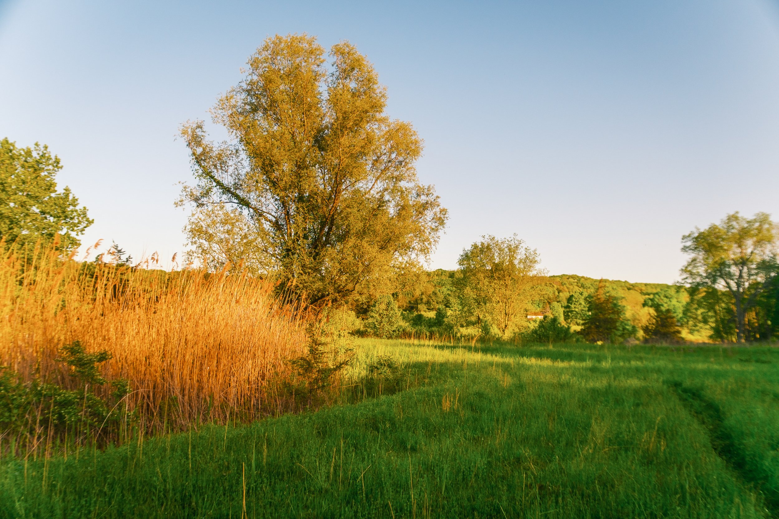 Copy of Rhinebeck_Property_MB-25.jpg