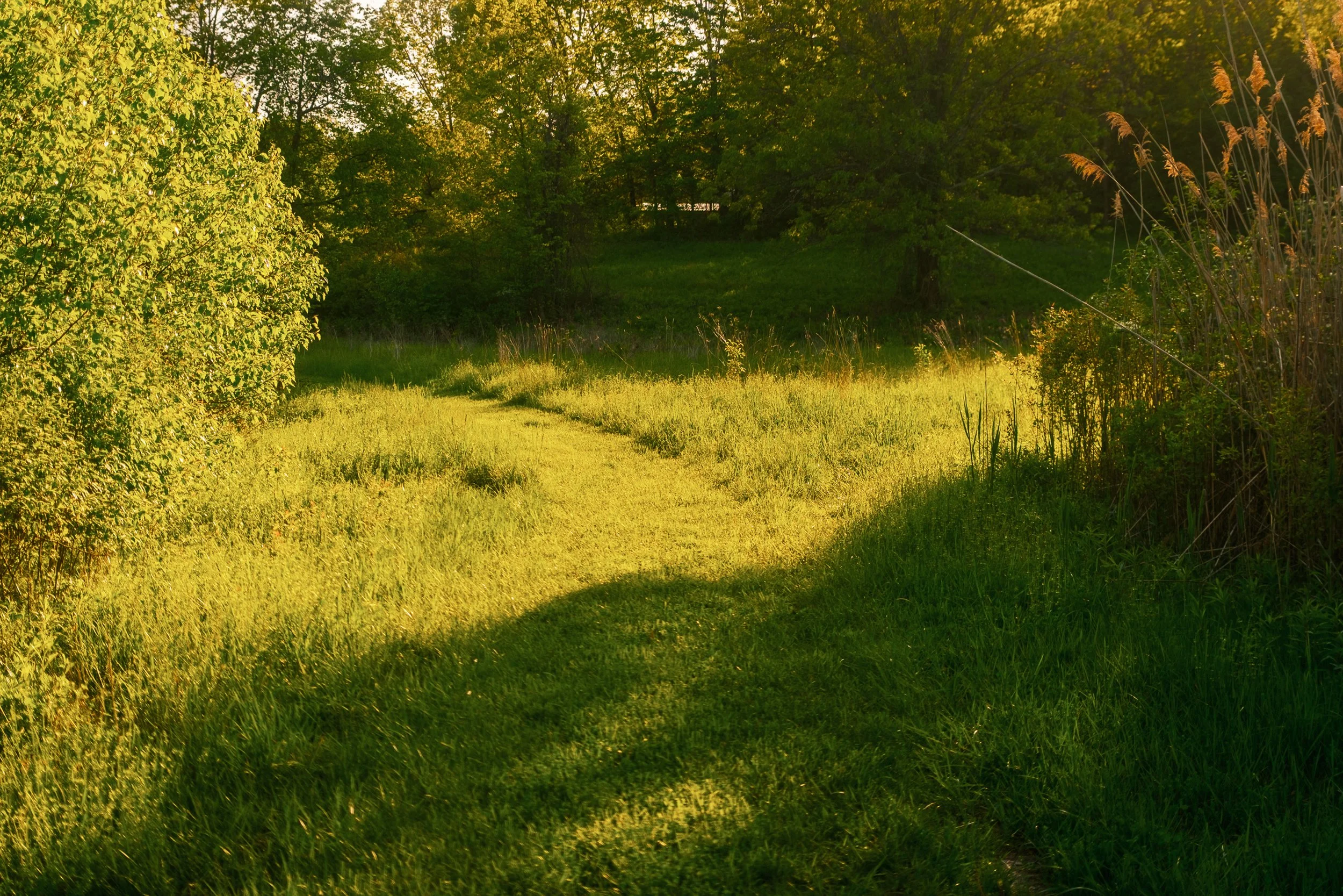 Copy of Rhinebeck_Property_MB-16.jpg