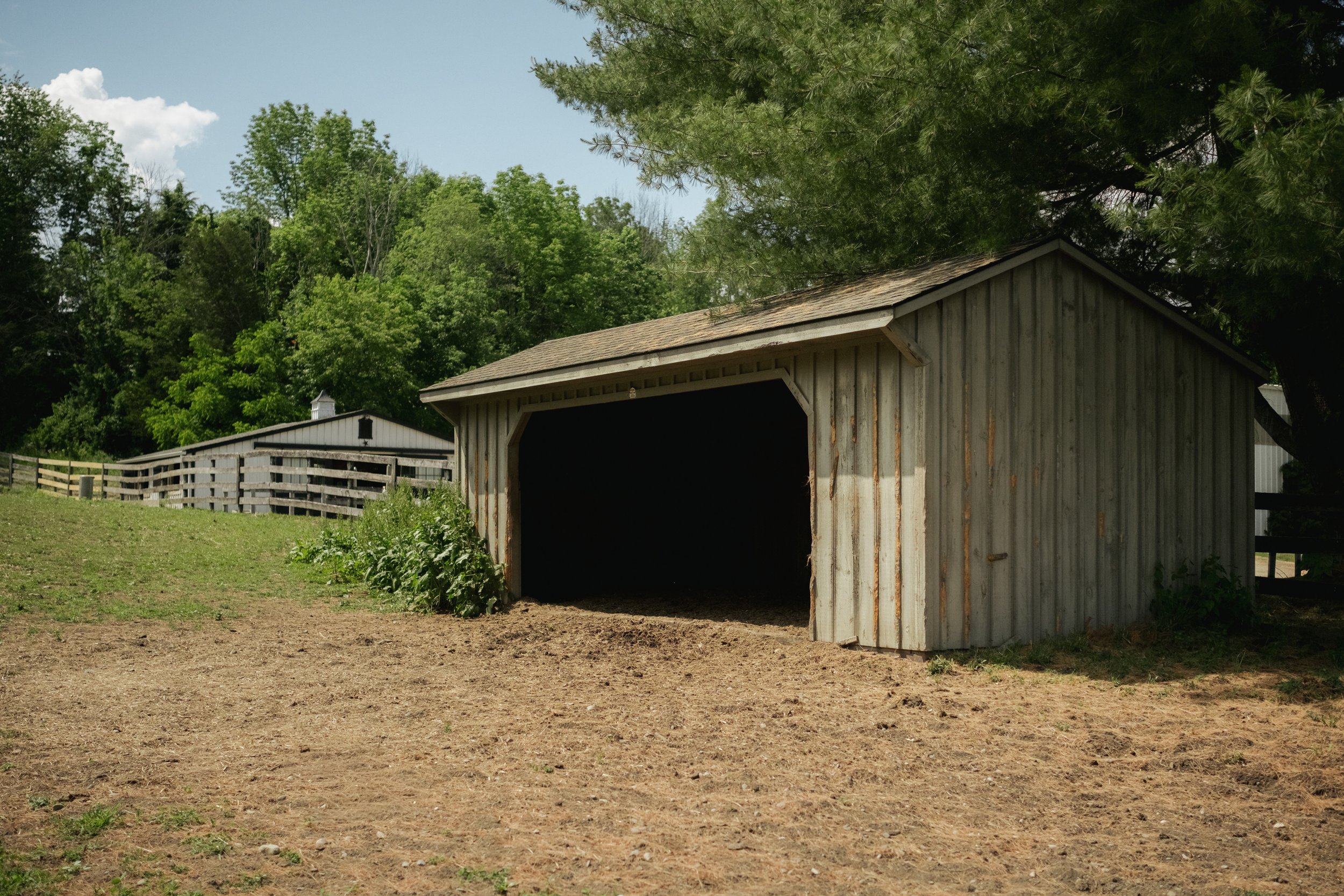 1425_Centre_Road_MBJ-11.jpg