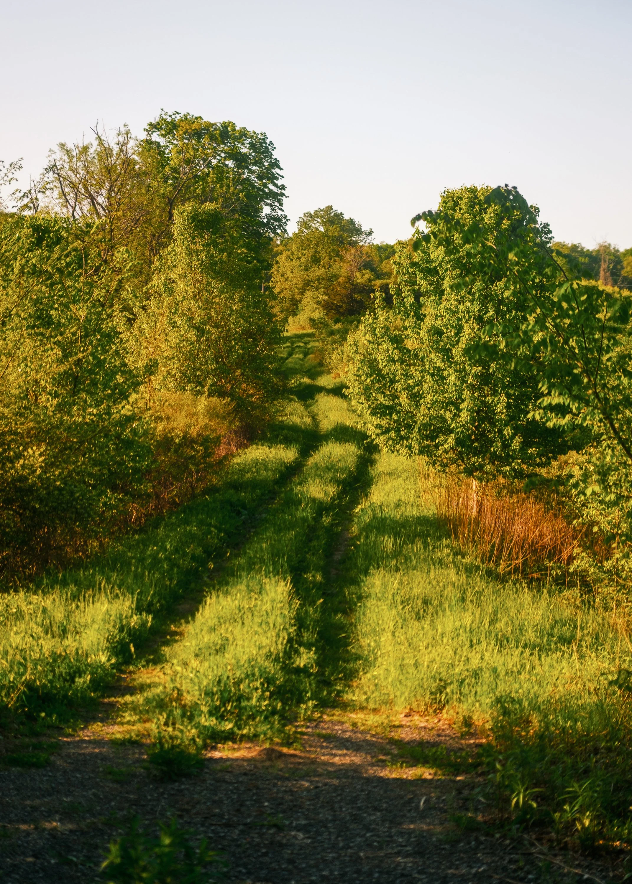 Copy of Rhinebeck_Property_MB-14.jpg