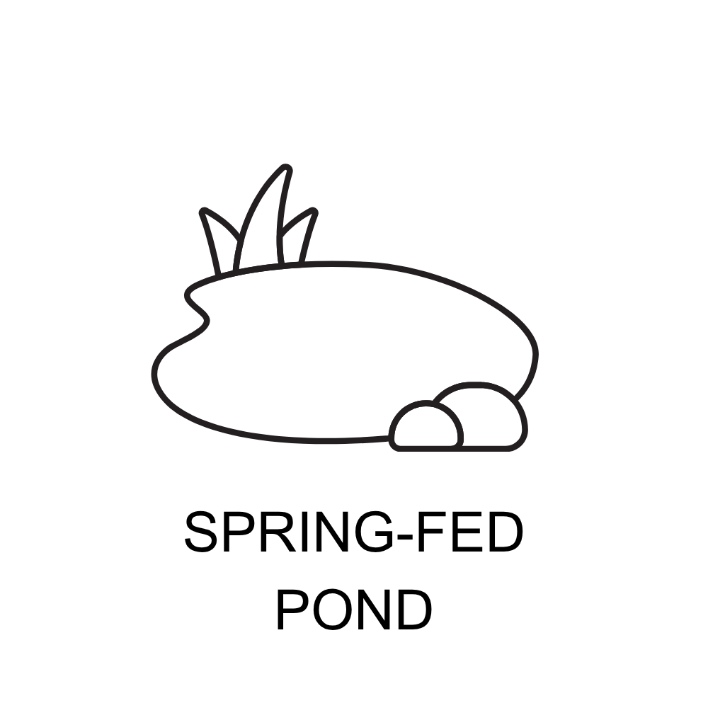 ICONS (64).png