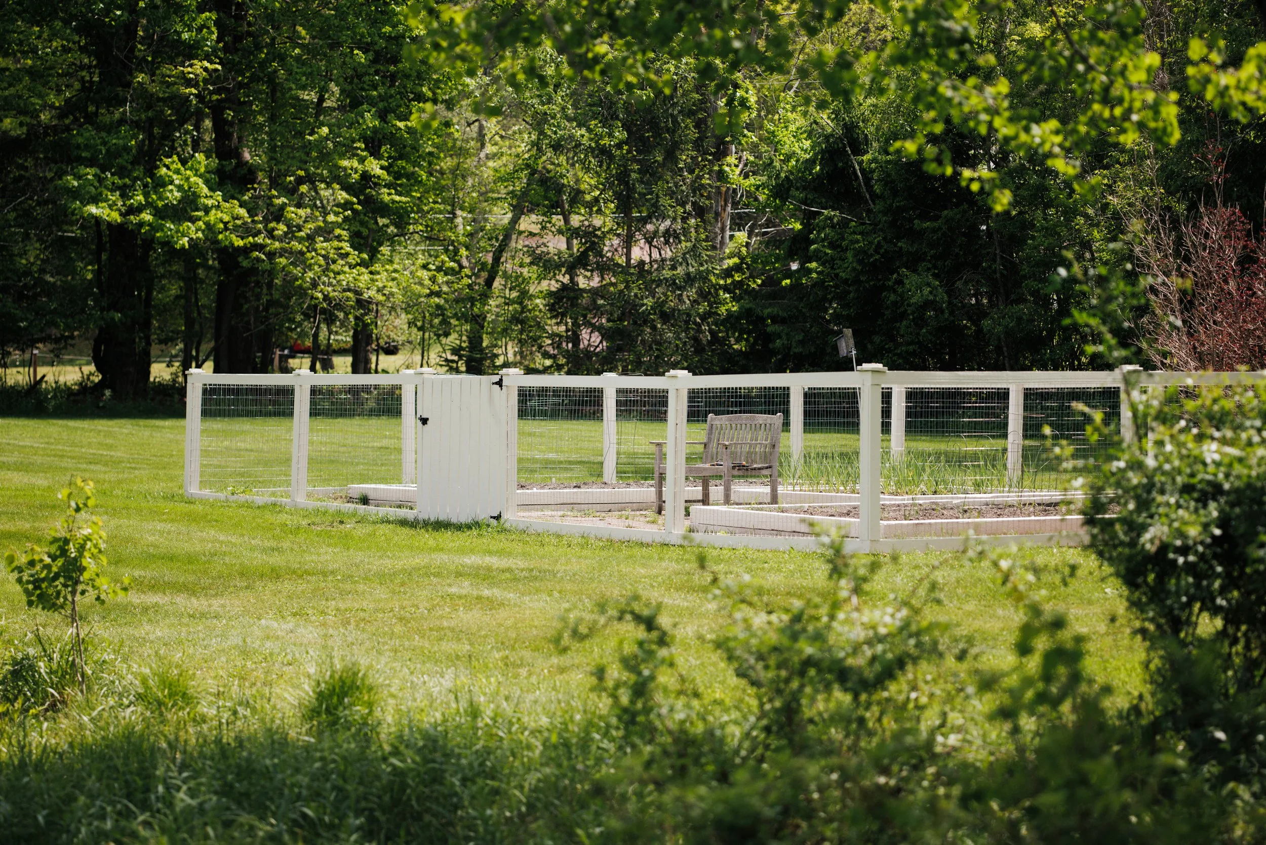 216-NY-296-Windham-NY-Catskill-Image-43.jpg