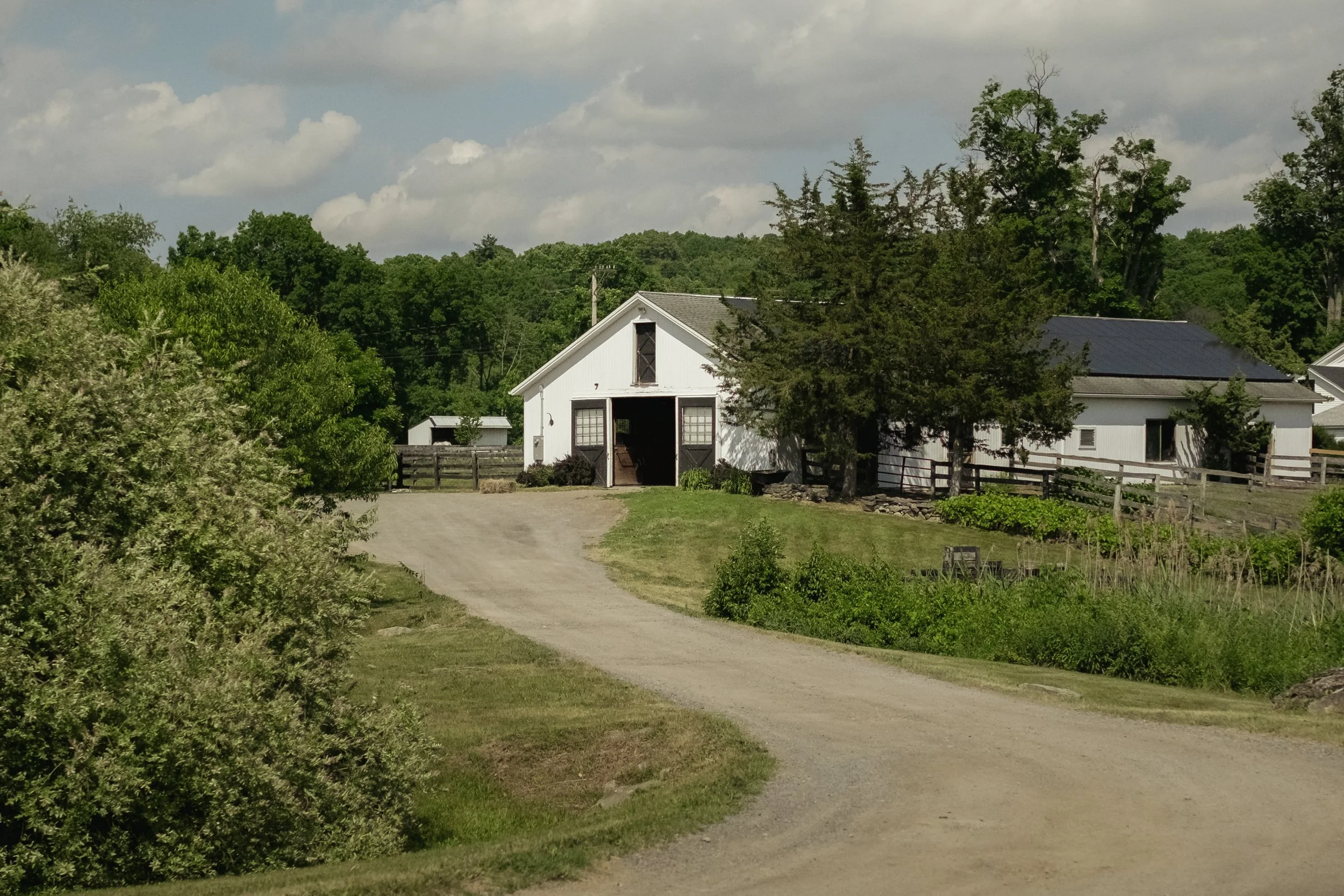 1425_Centre_Road_MBJ-33.jpg