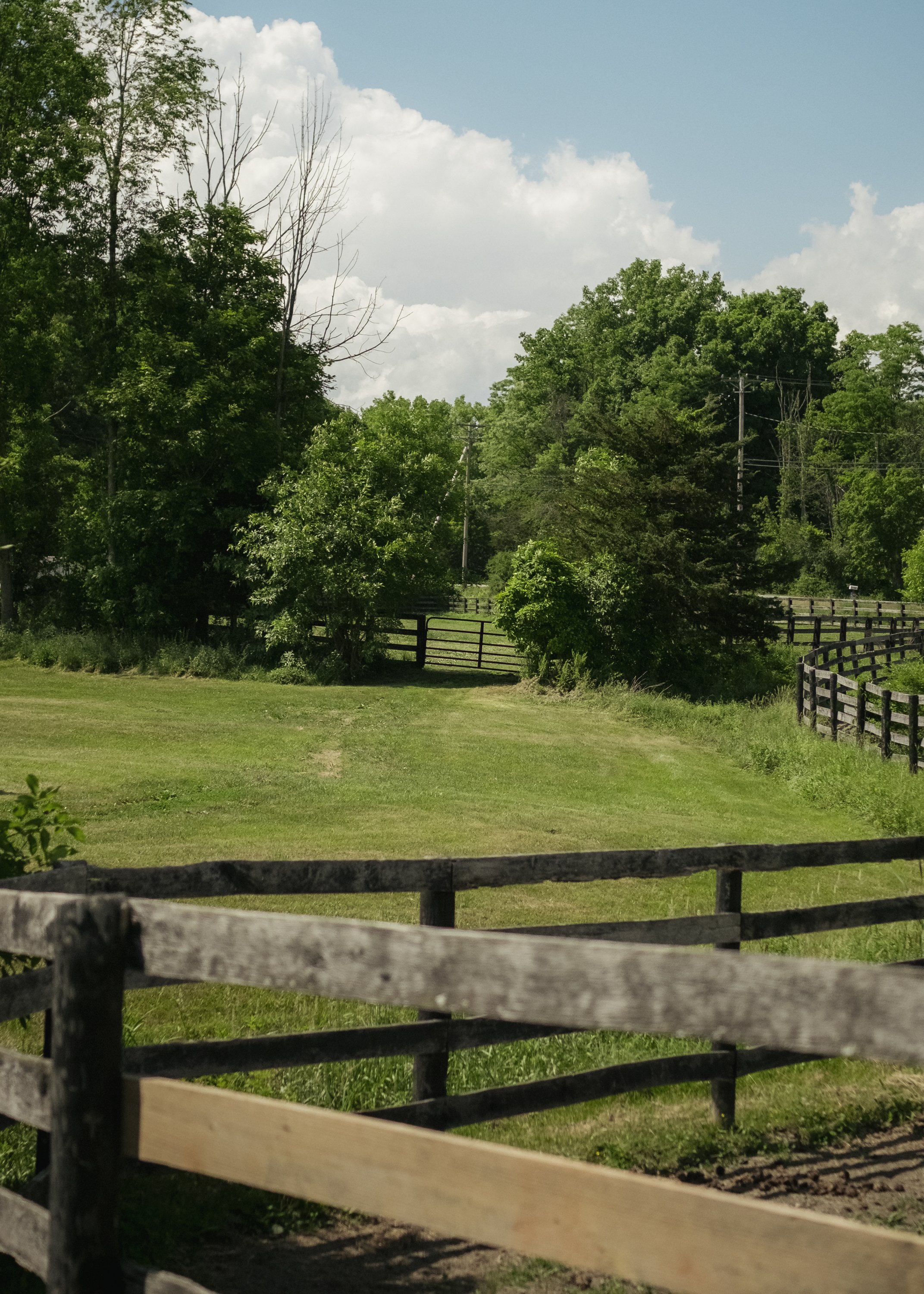 1425_Centre_Road_MBJ-25.jpg