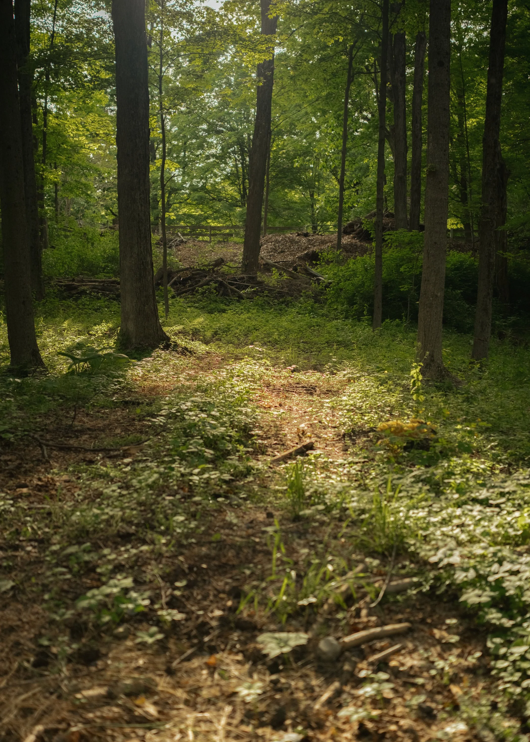 1231_Route_308_MBJ-34.jpg