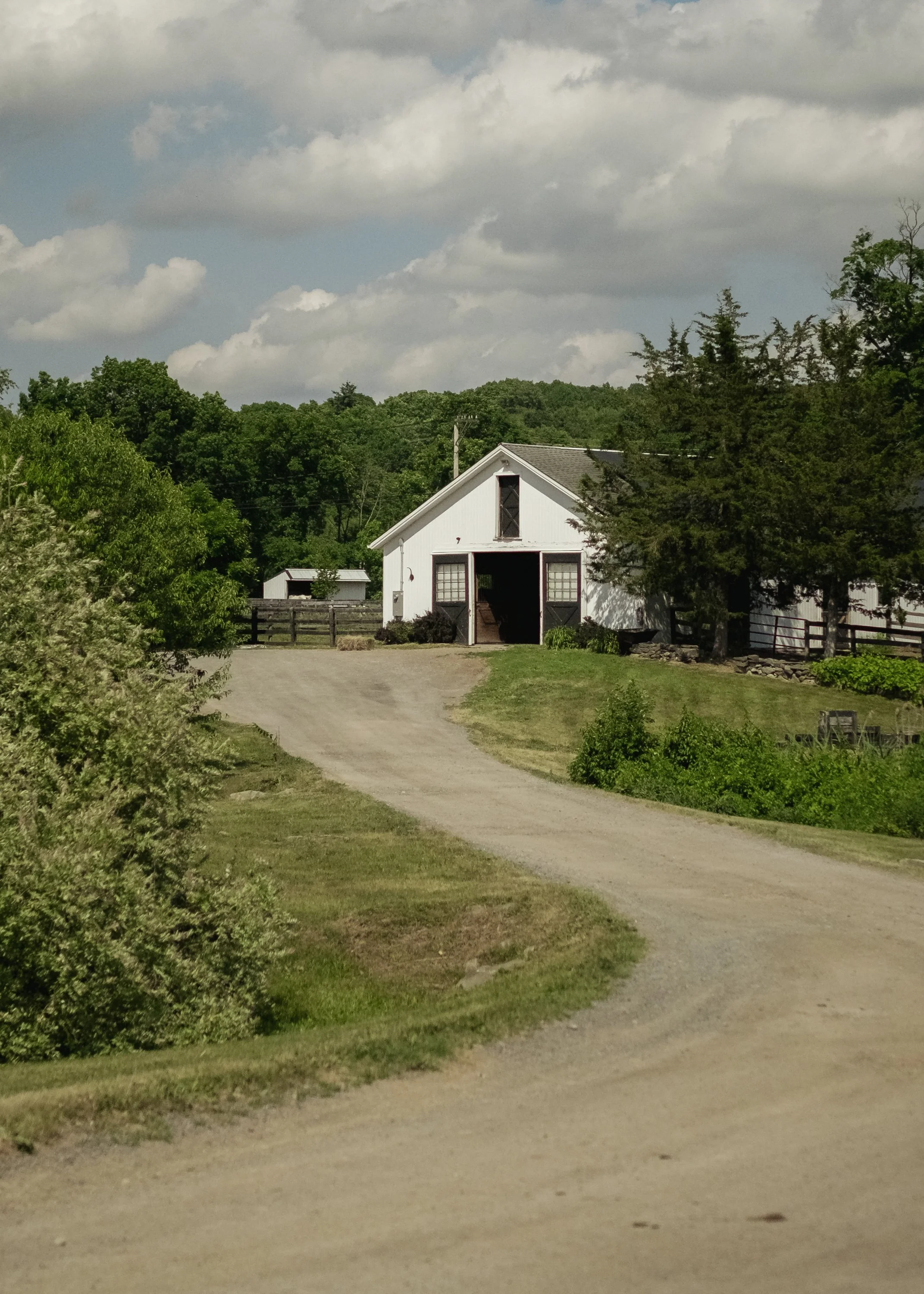 1425_Centre_Road_MBJ-32.jpg