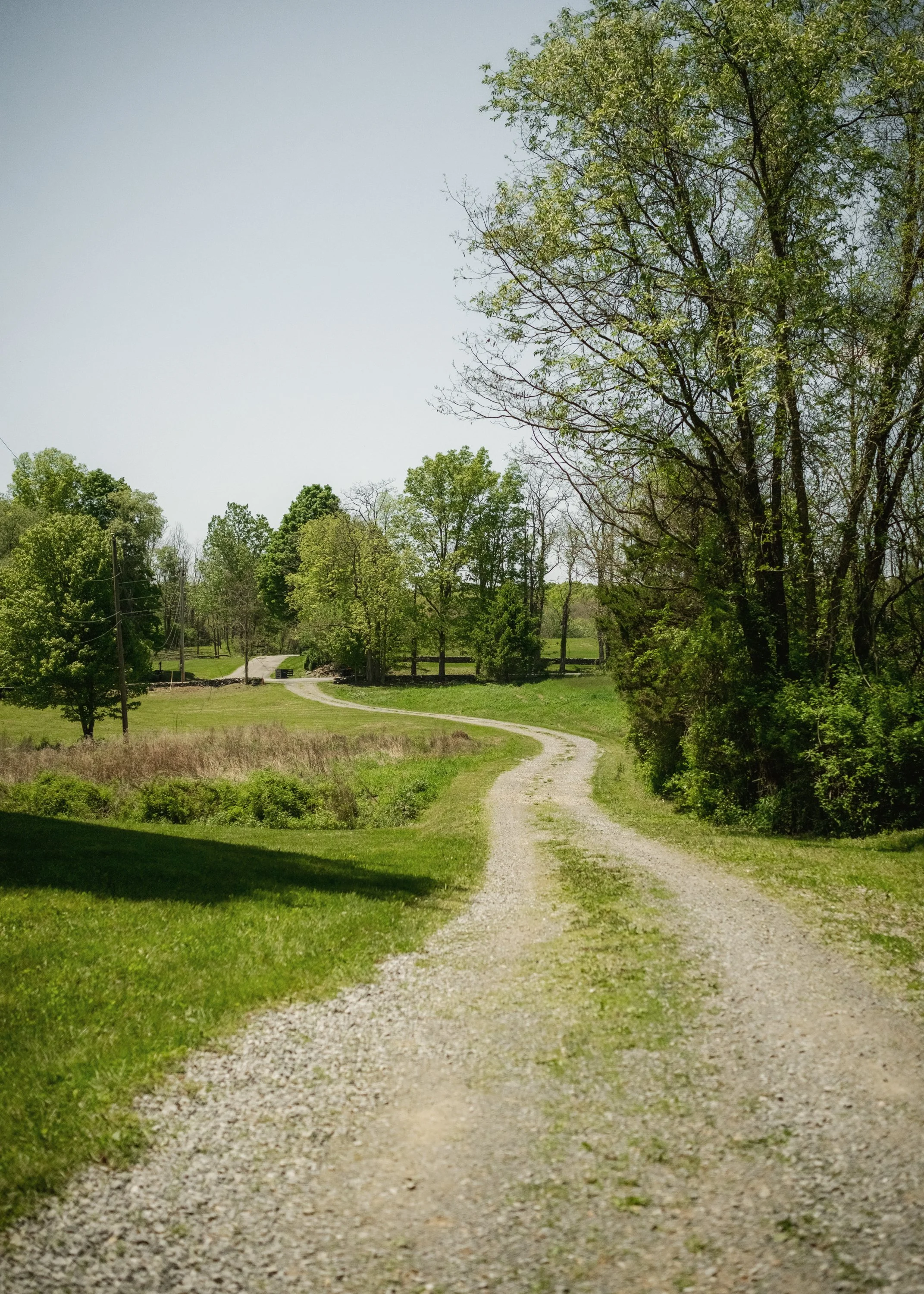 78_Rymph_Road_MBJ-40.jpg