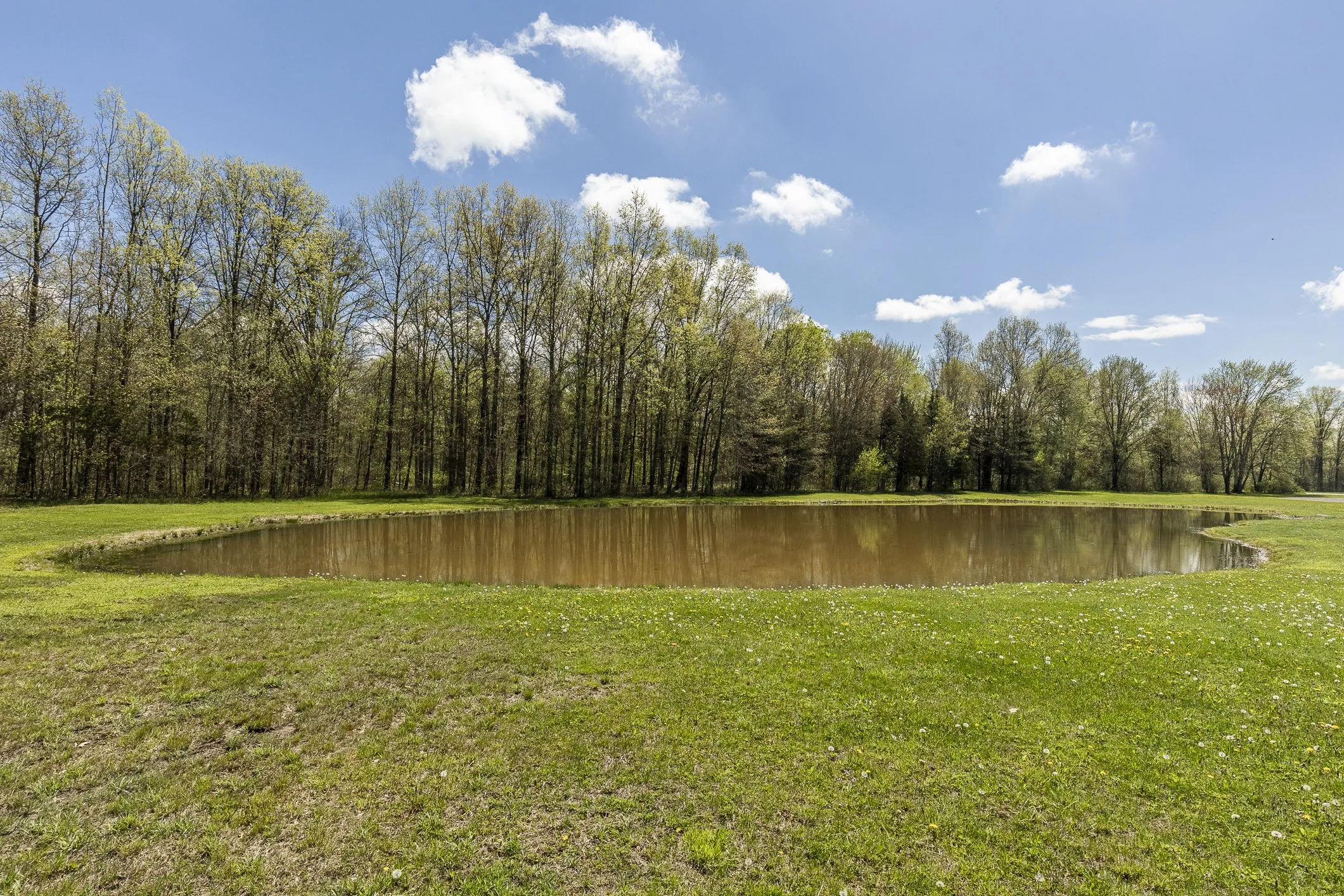 95LR_051.jpg