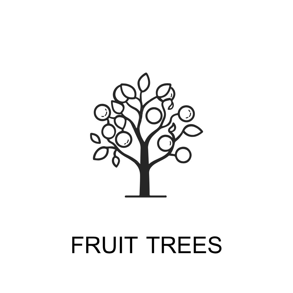 ICONS (71).png