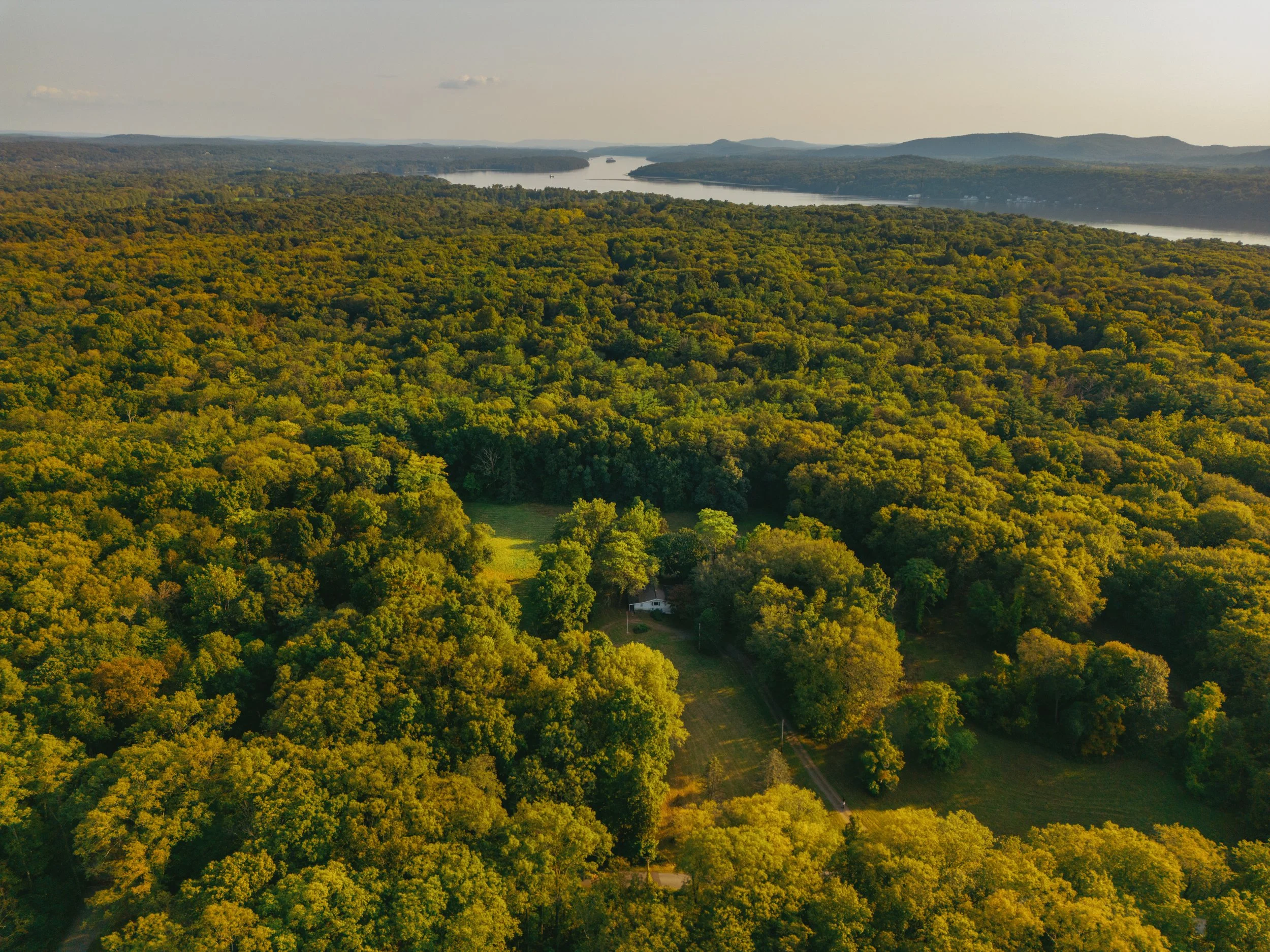 An aerial view of a lush green forest surrounding a small house near a river, with hills in the background and a few clouds in the sky.