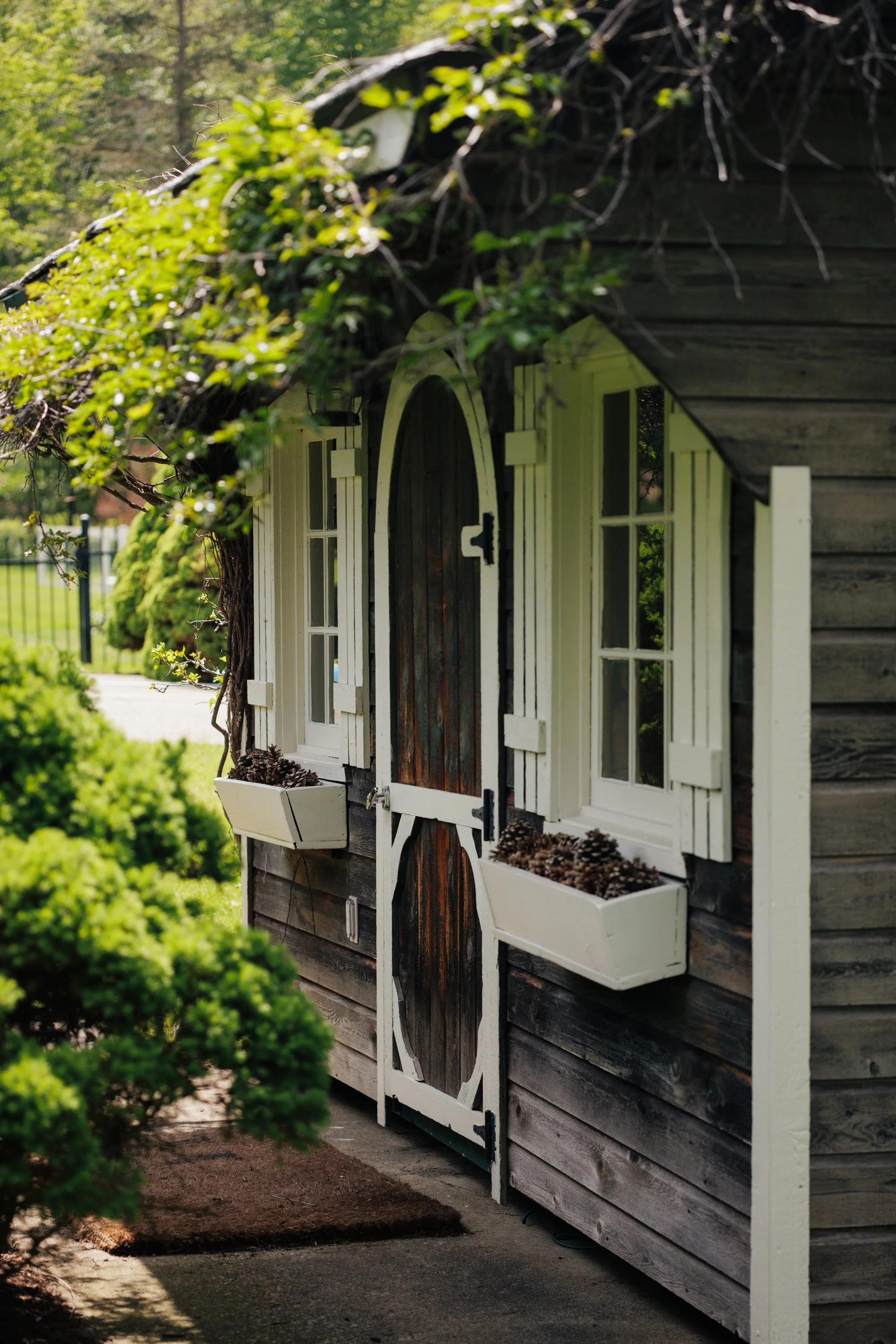216-NY-296-Windham-NY-Catskill-Image-61.jpg