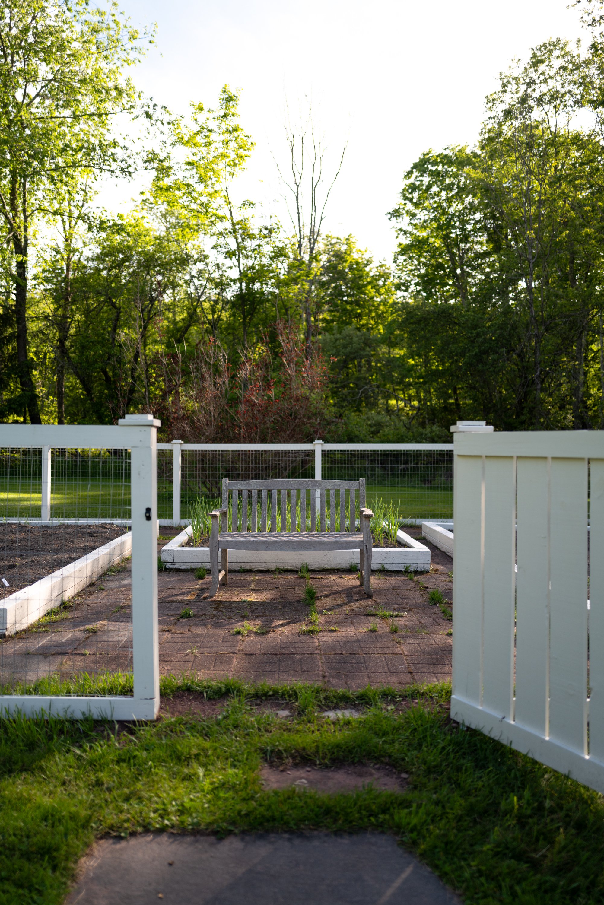216-NY-296-Windham-NY-Catskill-Image-46.jpg
