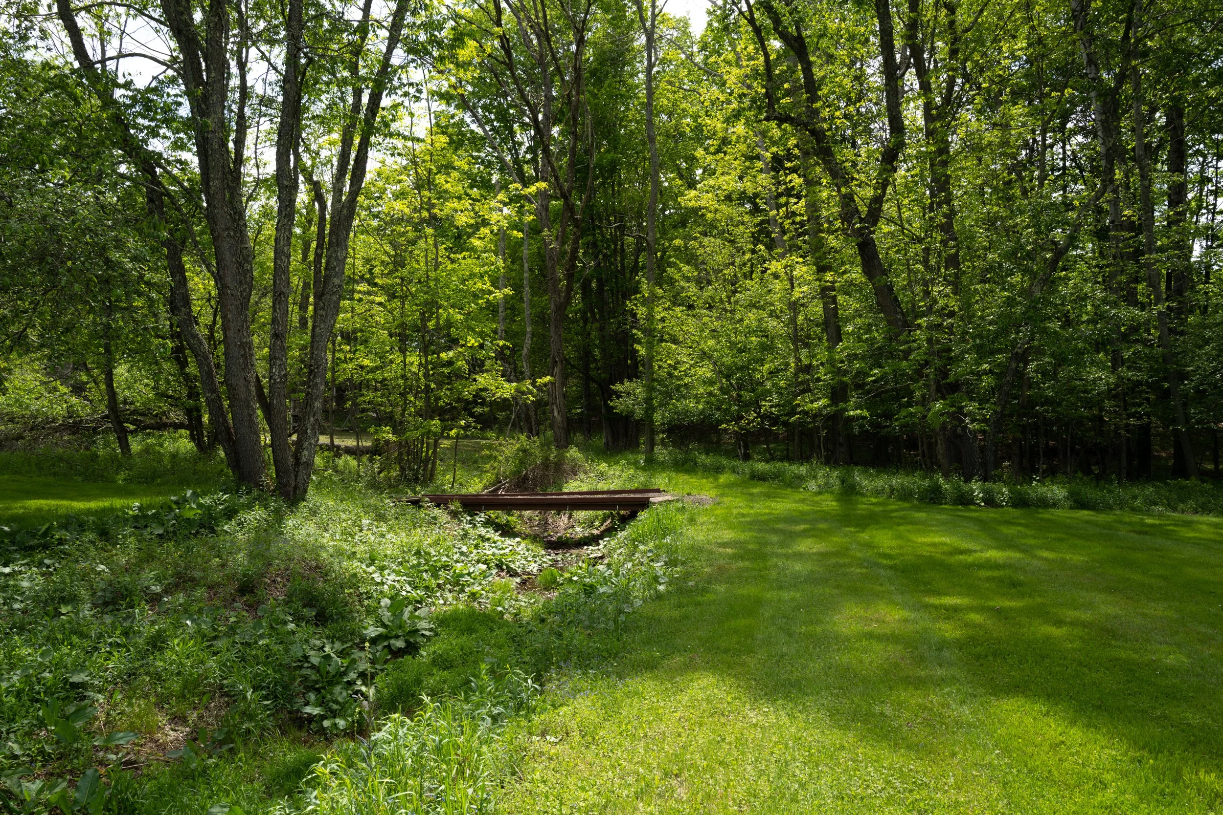 216-NY-296-Windham-NY-Catskill-Image-59.jpg