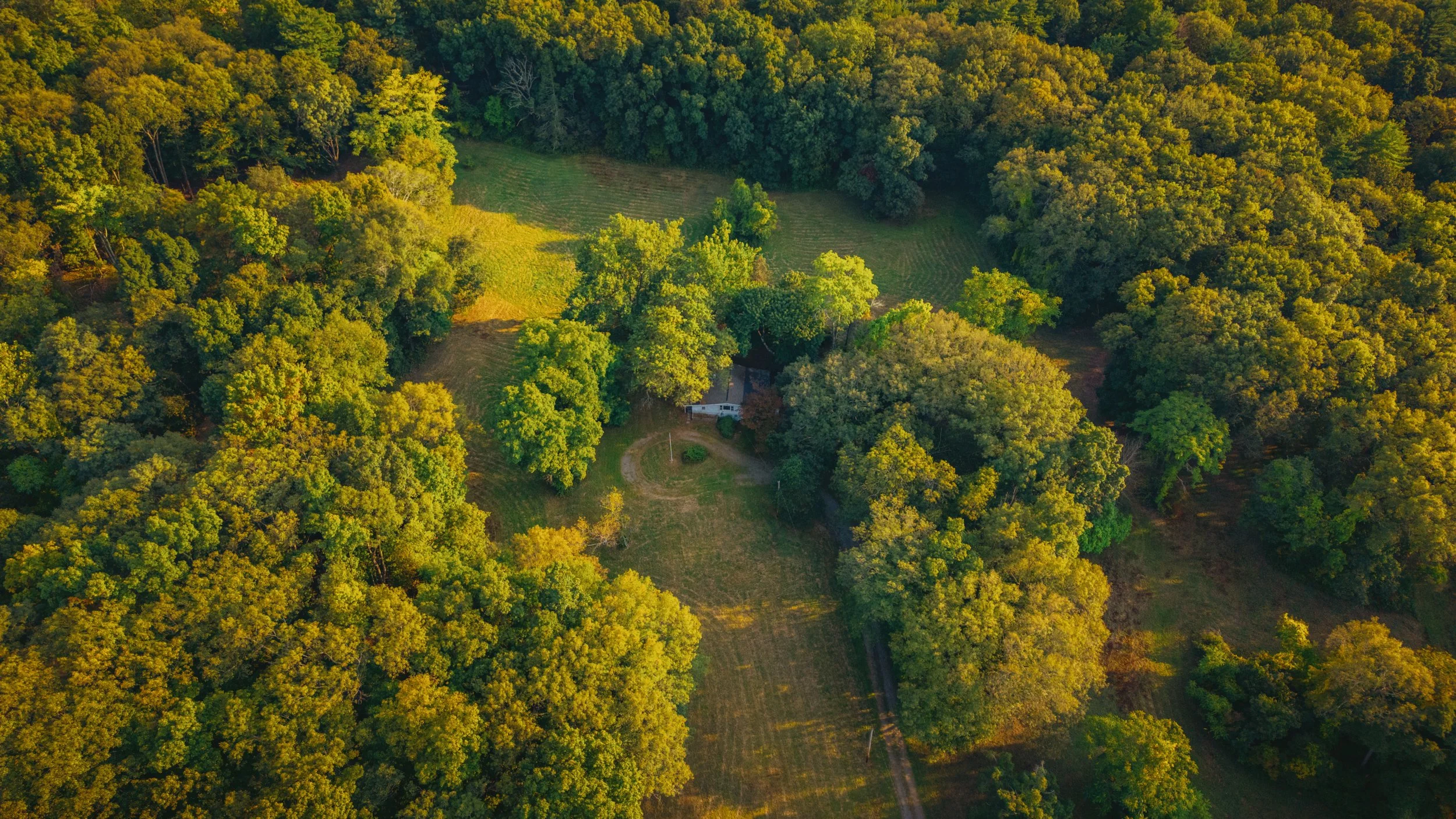 Aerial view of a house surrounded by dense green trees and open grassy fields at sunset.