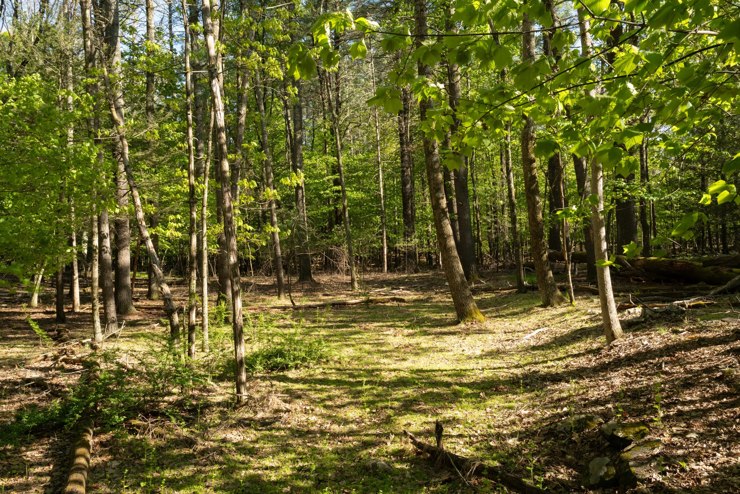 276-Chestnut-Hill-Rd-Woodstock-NY-Catskill-Image-50.jpg