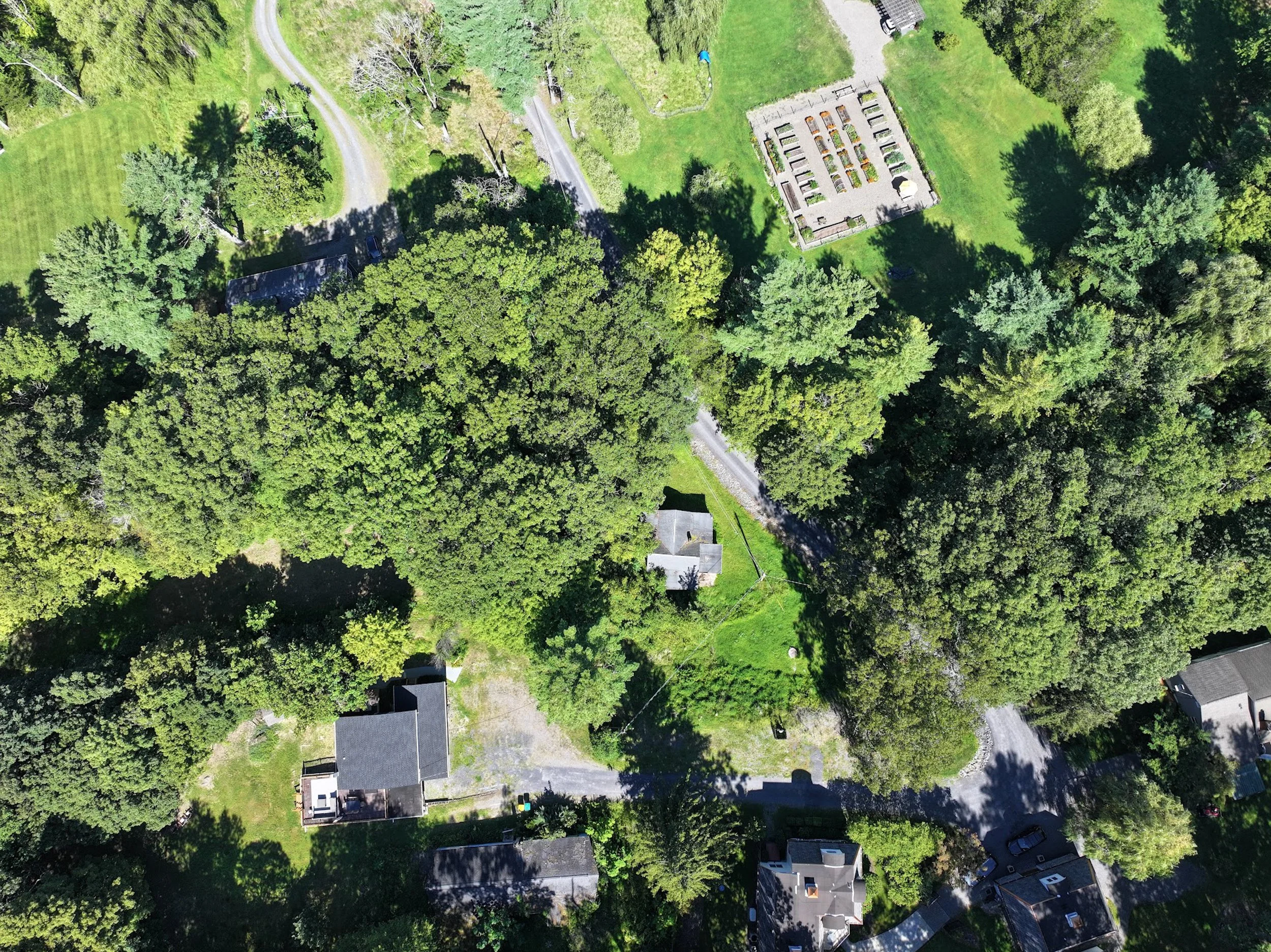 DJI_20250830083112_0005_D.jpg