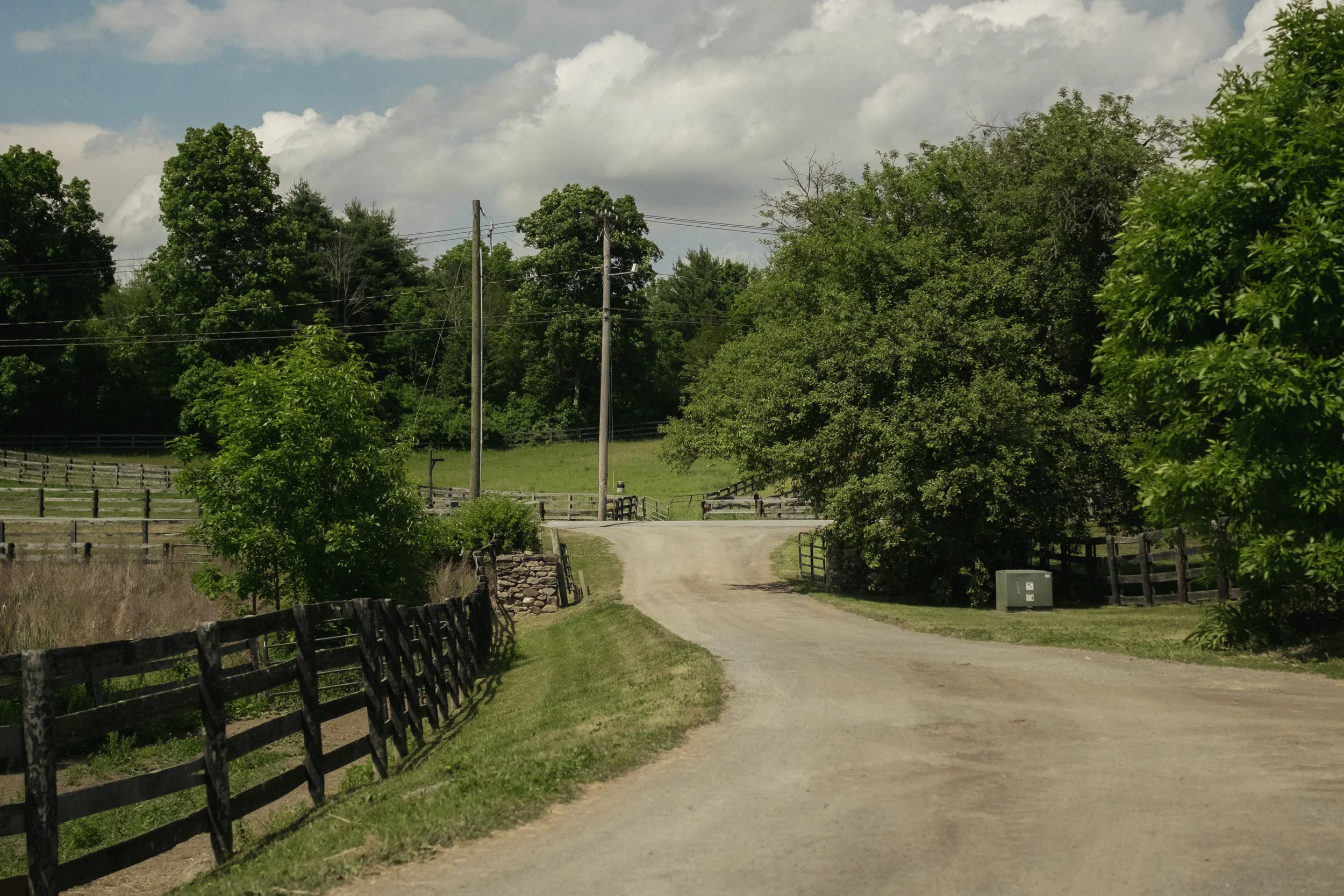 1425_Centre_Road_MBJ-29.jpg