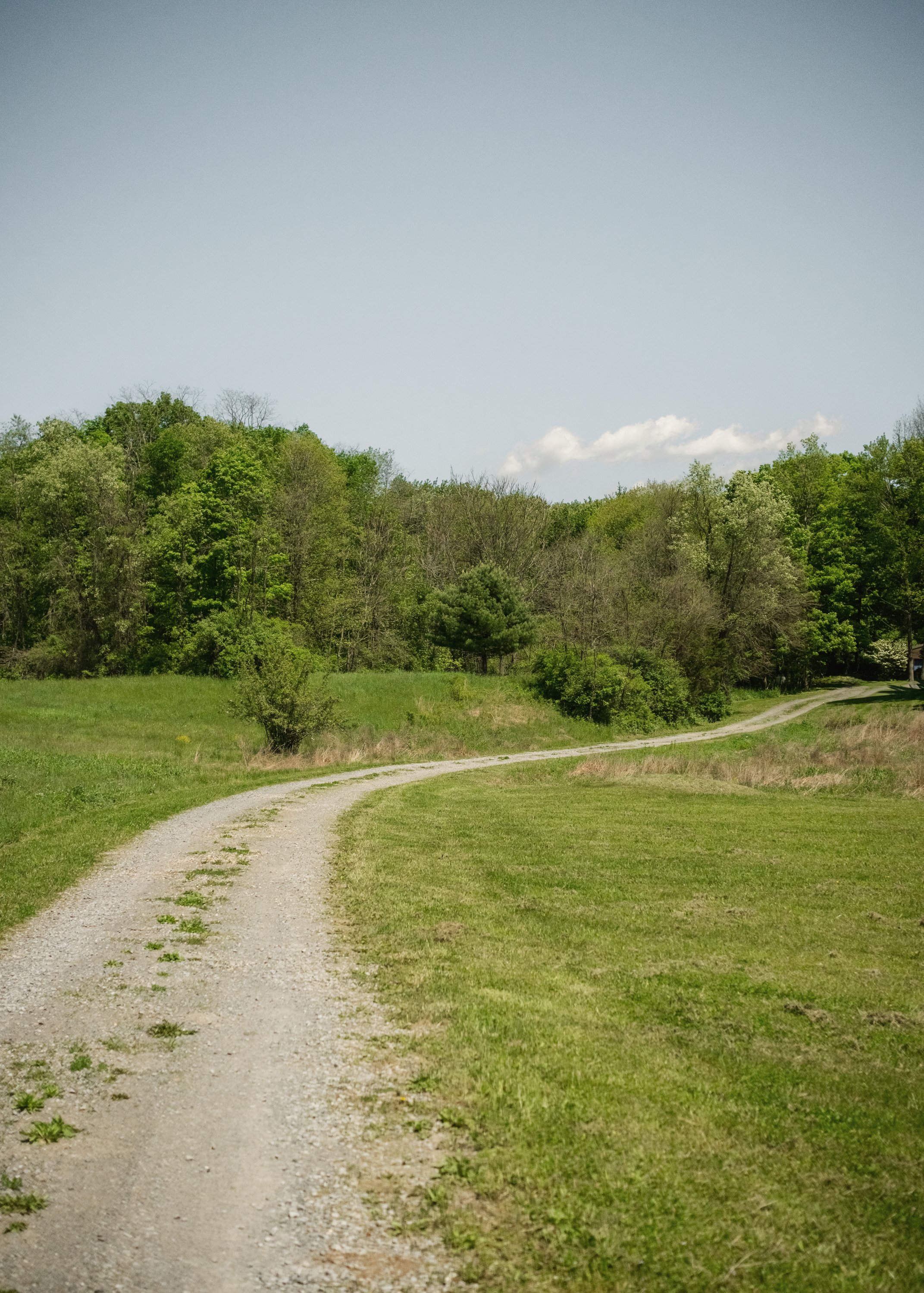 78_Rymph_Road_MBJ-53.jpg
