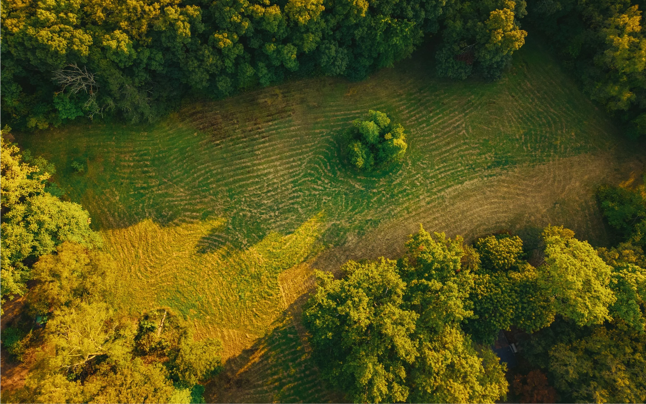 An aerial view of a green field surrounded by dense trees with some shadows cast on the grass.