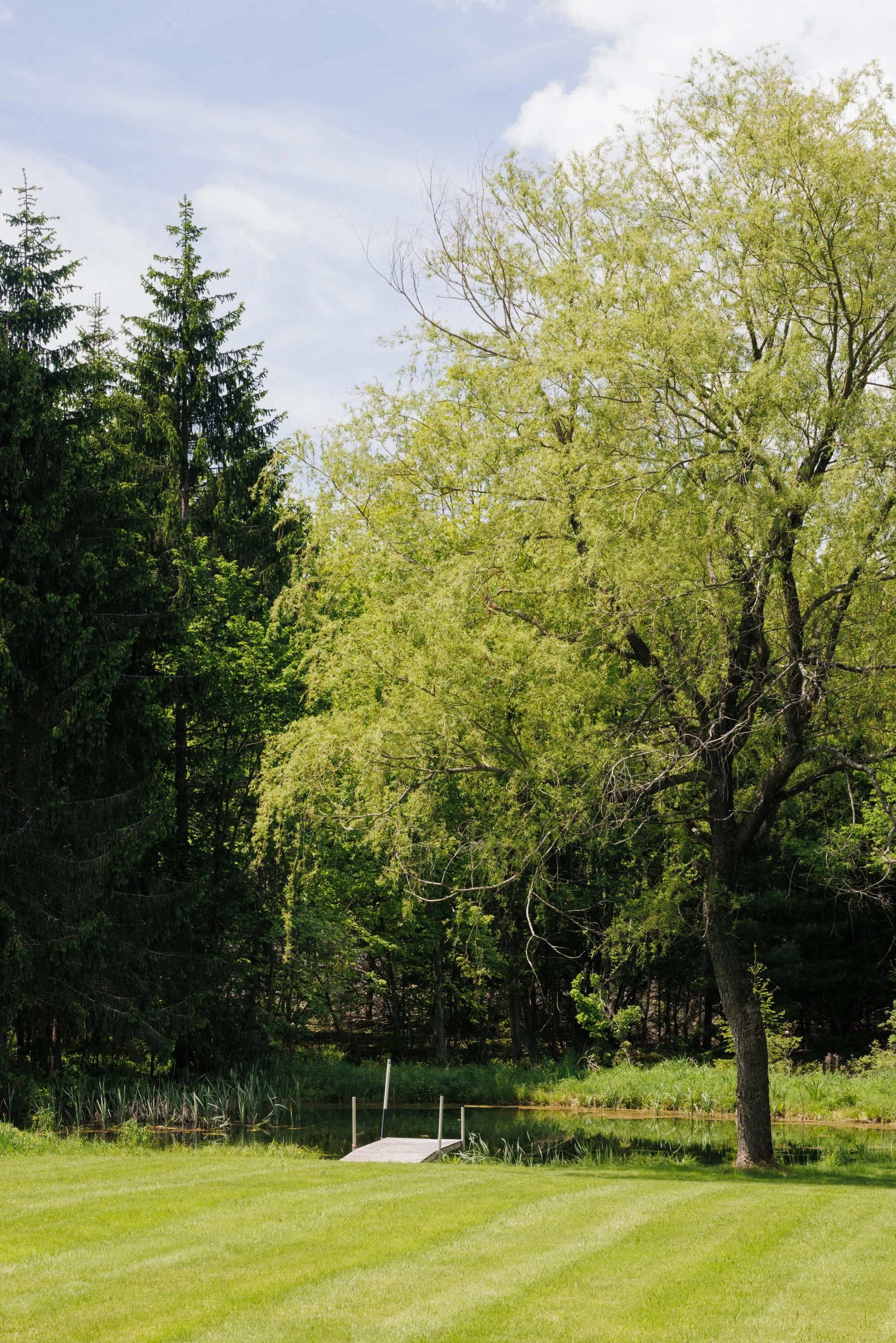 216-NY-296-Windham-NY-Catskill-Image-52.jpg