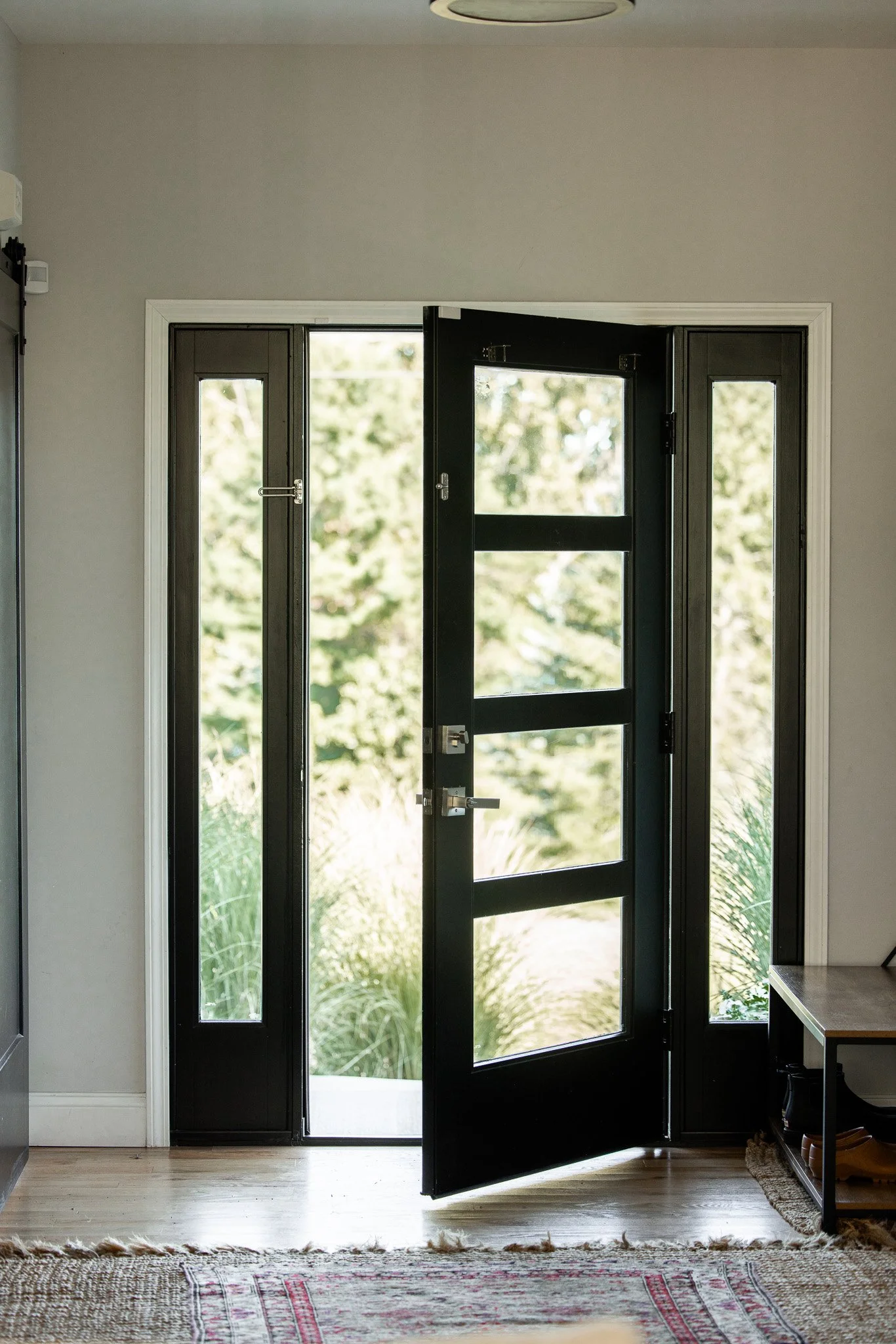Open black front door with glass panels in a house, revealing a garden outside with trees and tall grass.