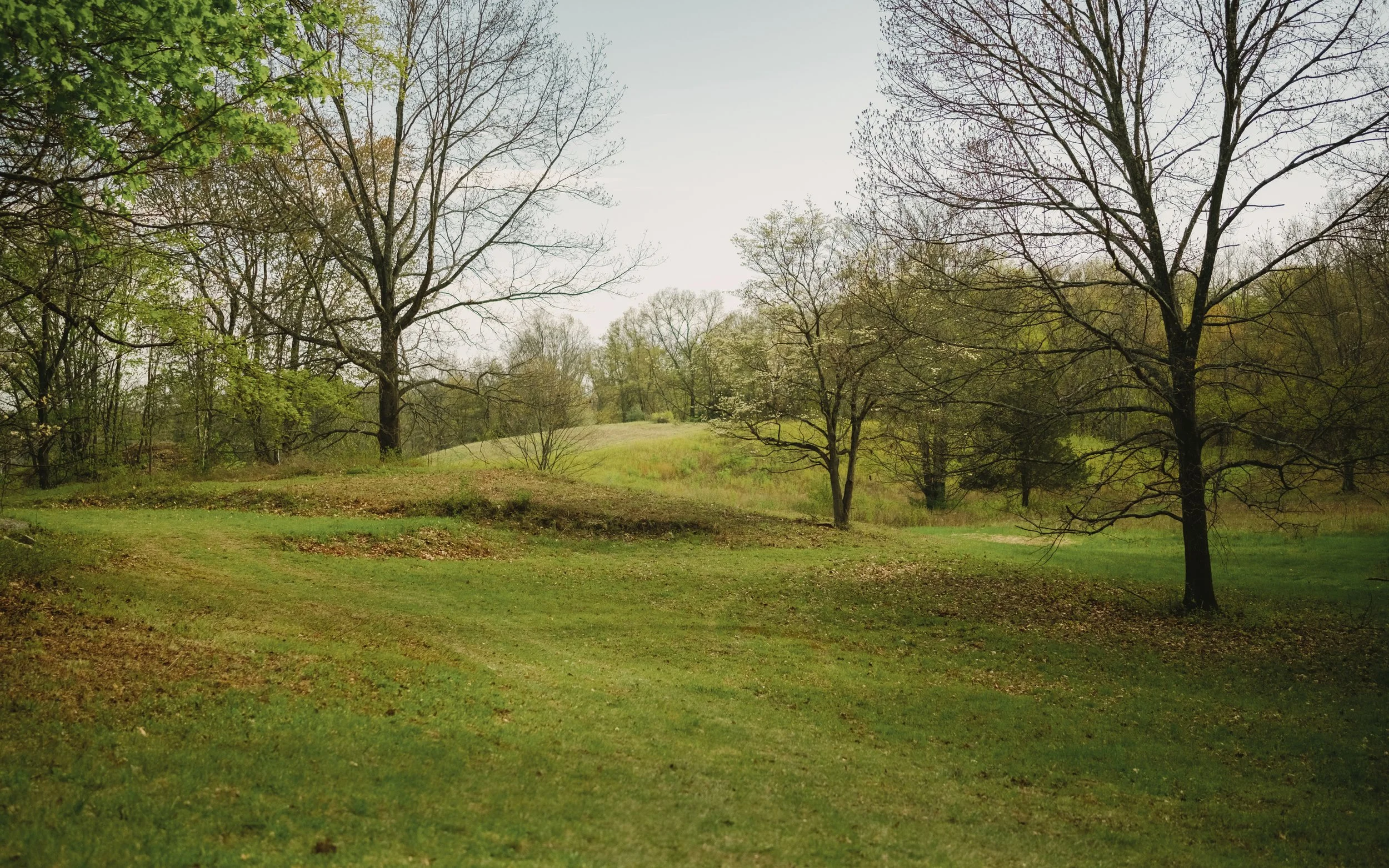 Rhinbeck_308_MBJ-1.jpg