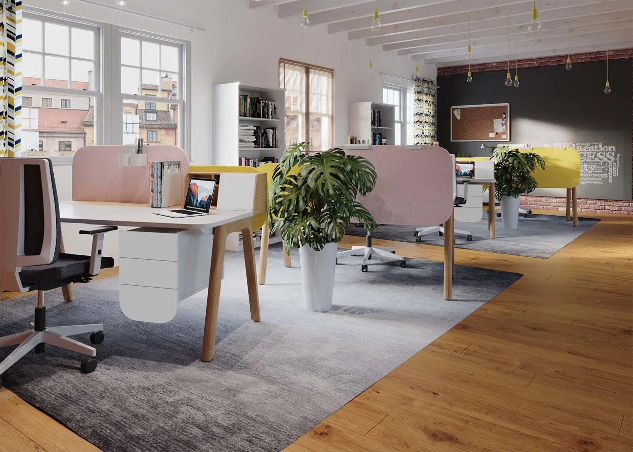 open-space-entreprise-ergonomique-feng-shui.jpg