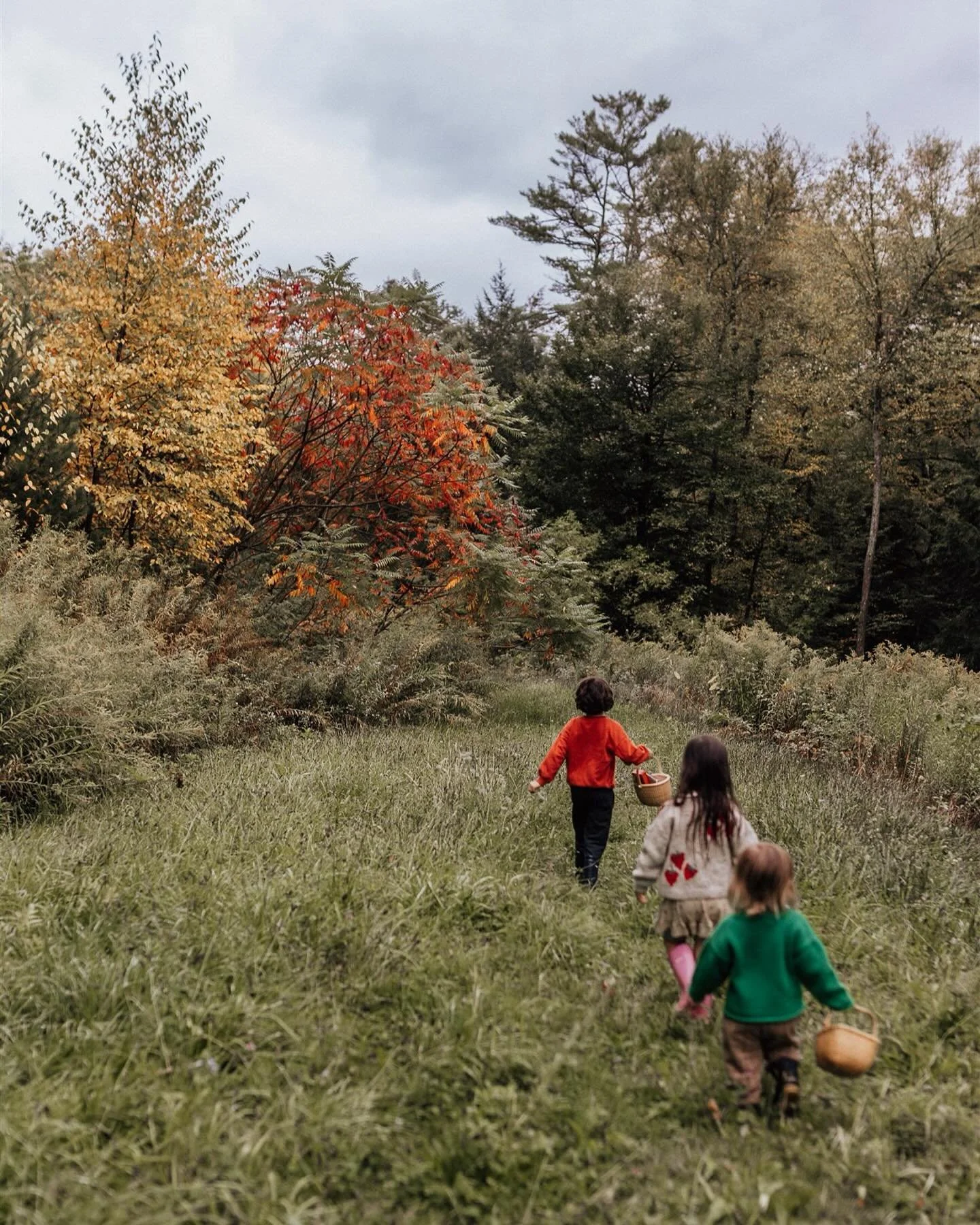 &ldquo;I am out with lanterns looking for myself&rdquo; - Emily Dickinson 

always with 🎨🖌️

&amp; best in the 🍂🍁 of our own backyard

#vermontphotographer #vermontfamilyphotographer #uppervalleyphotographer #newenglandphotographer #newhampshirep