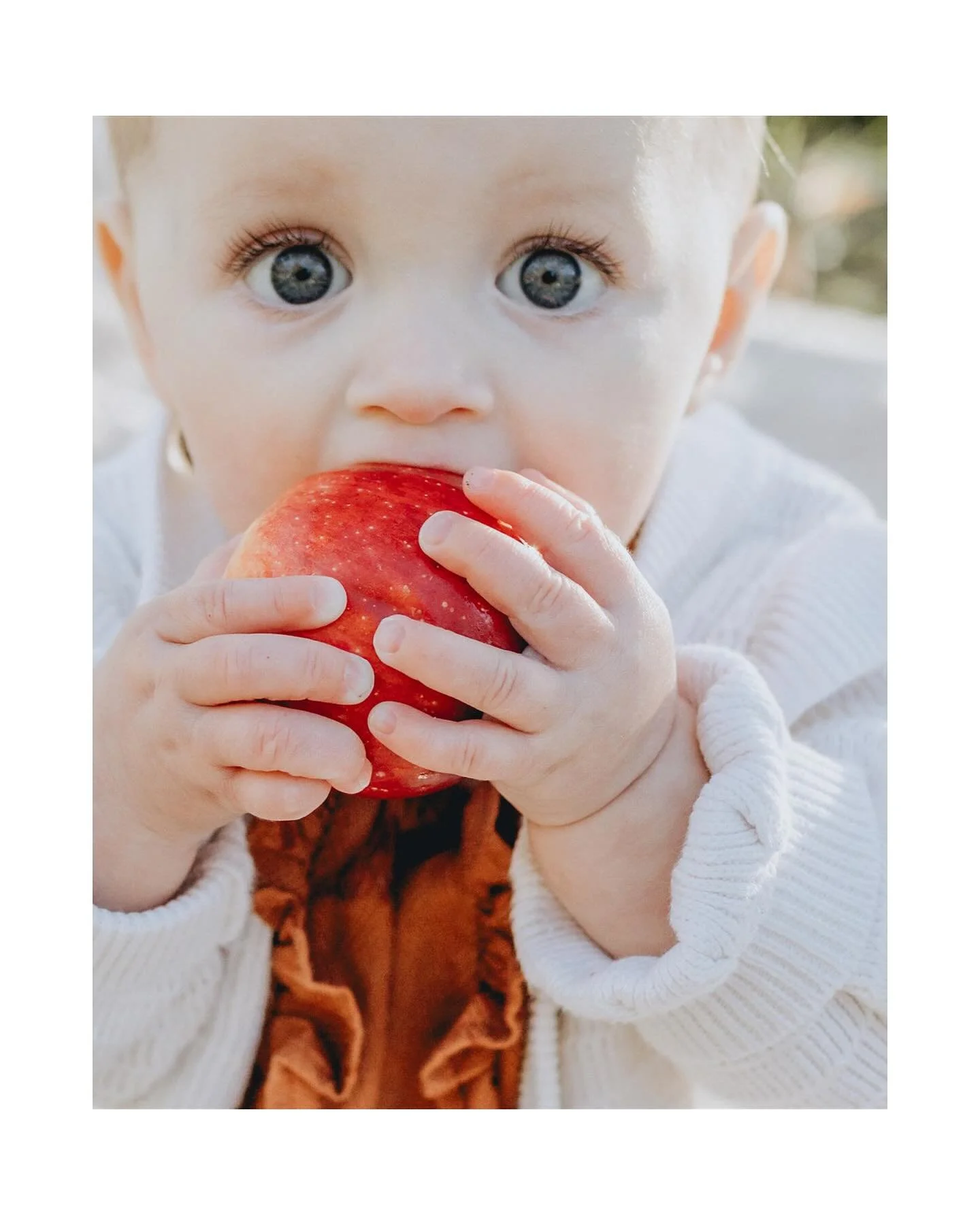 Side by side, growing up under their apple trees. 🍎🍂

#vermontfamilyphotographer #newhampshirefamilyphotographer #newenglandfamilyphotographer #uppervalleyphotographer #vermontportraitphotographer