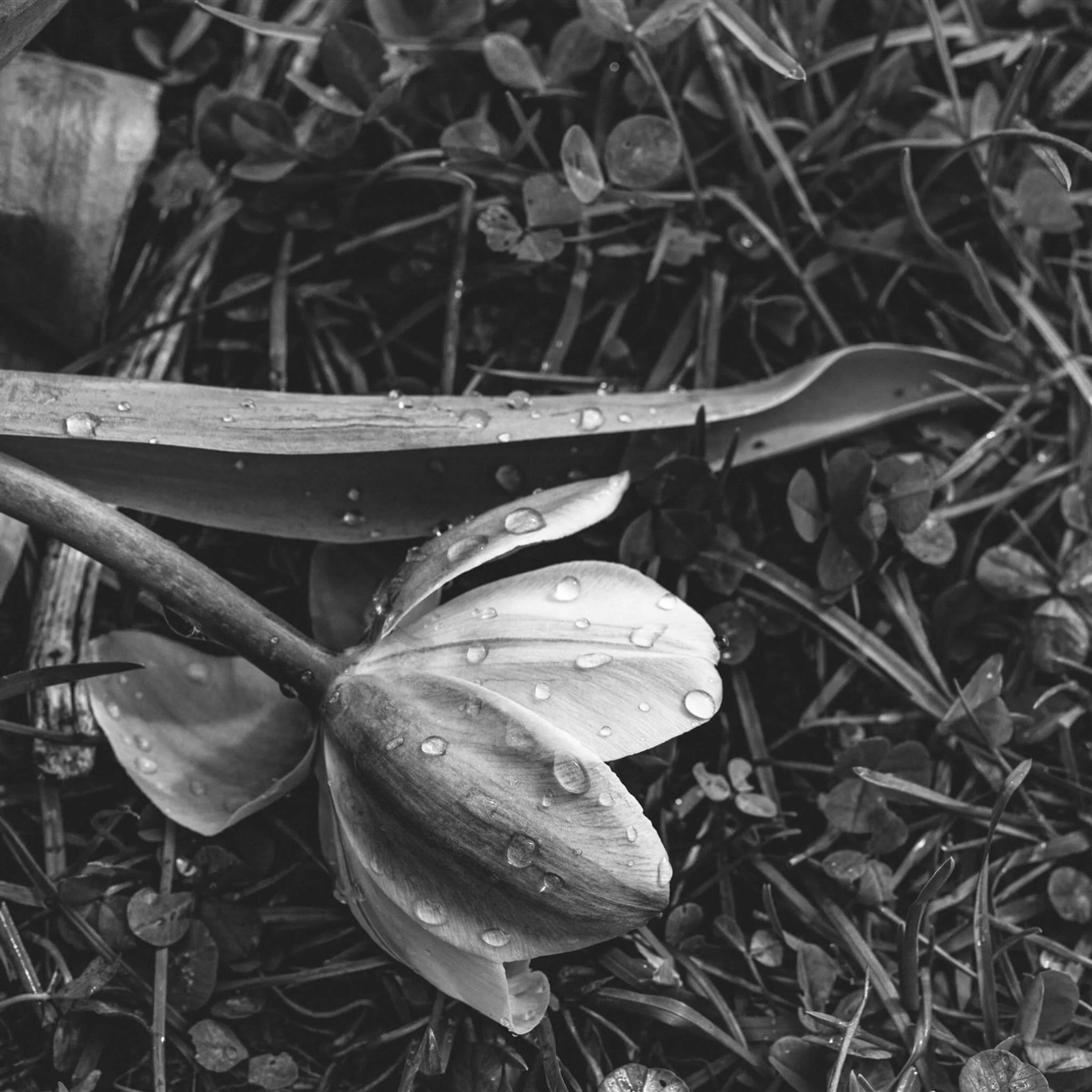 &ldquo;It&rsquo;s not the weight you carry

but how you carry it &ndash;
books, bricks, grief &ndash;
it&rsquo;s all in the way
you embrace it, balance it, carry it

when you cannot, and would not,
put it down.&rdquo; 

&mdash; &ldquo;Heavy&rdquo; by