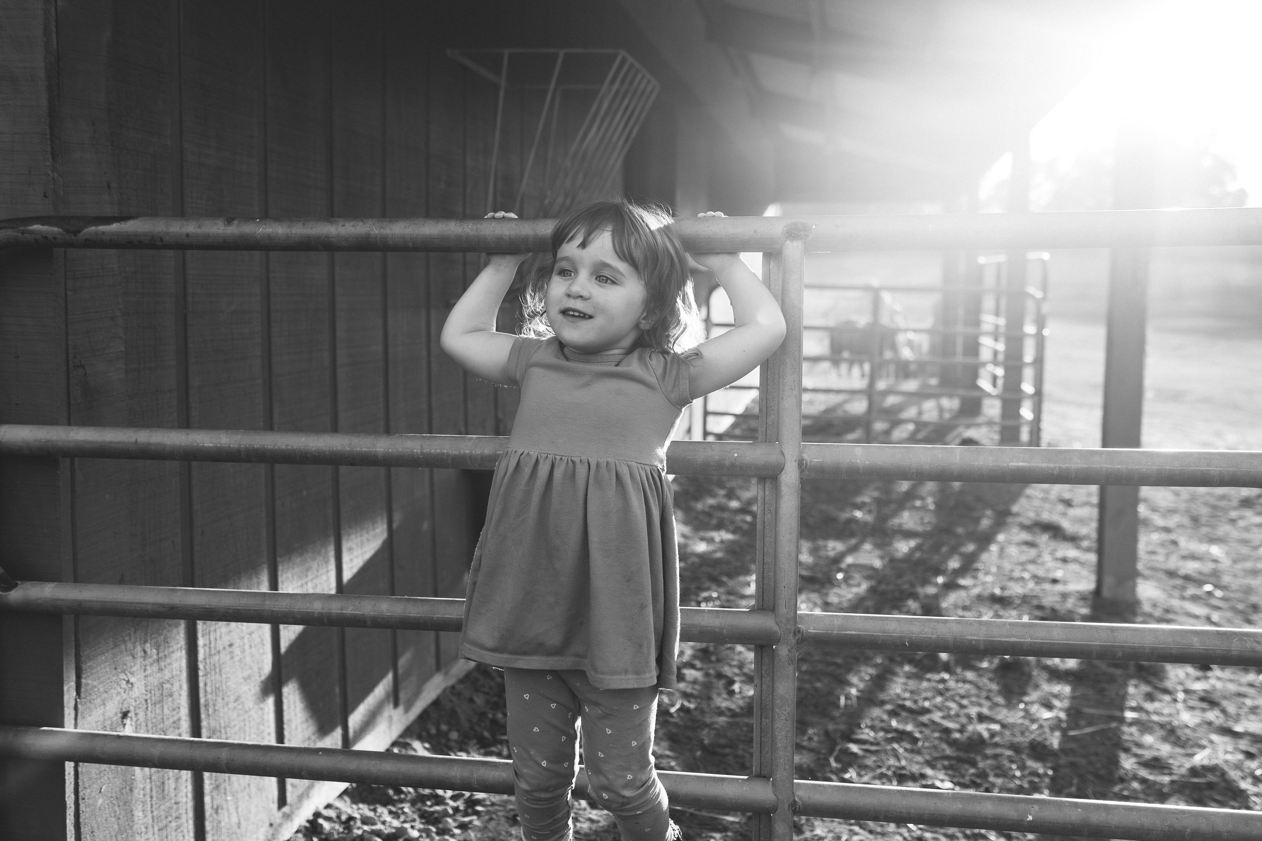 KimberlyChu-Greenville-photographer-family-Kirsten2024-118.jpg