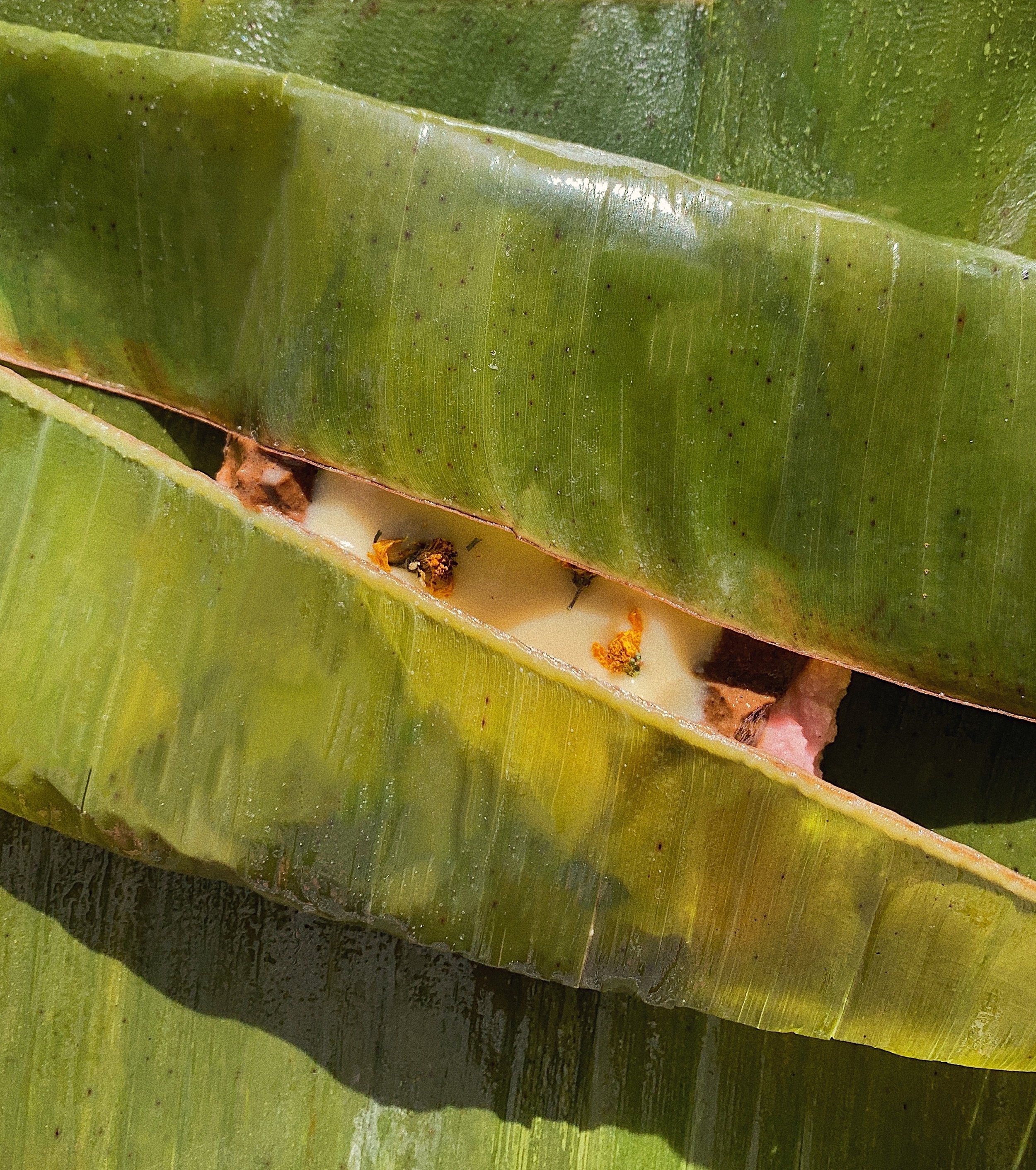image 14.jpg