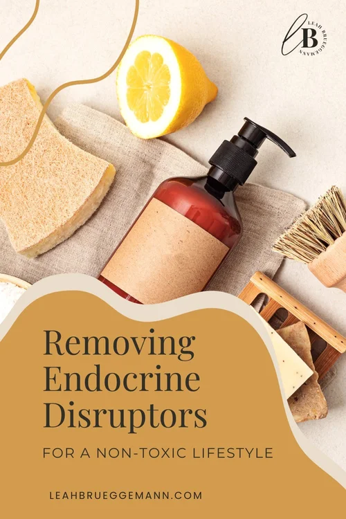 Removing Endocrine Disruptors for a NonToxic Lifestyle — Leah