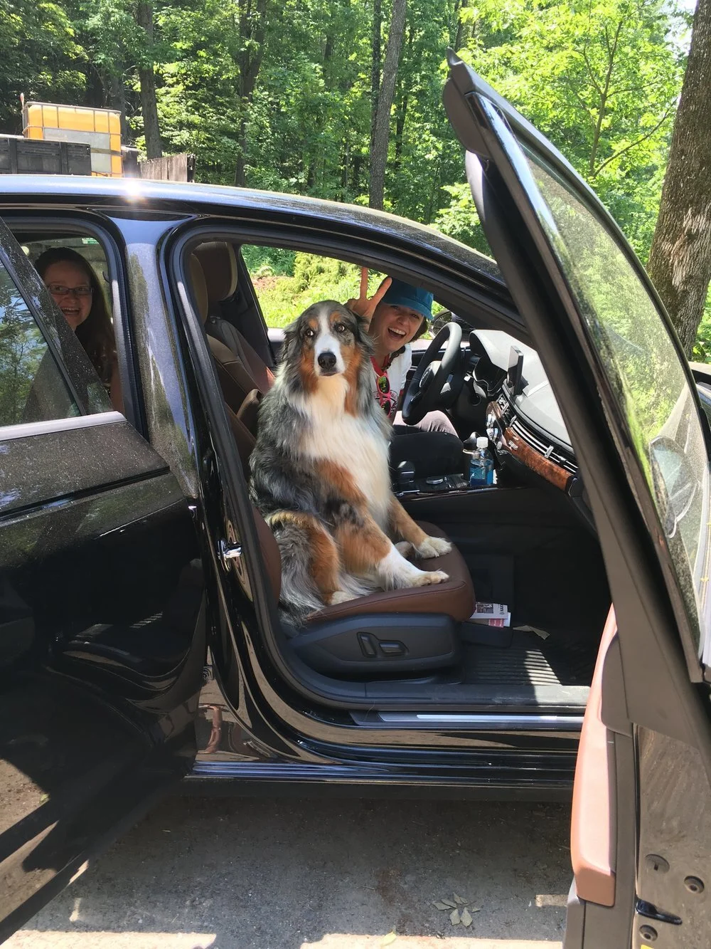 Jack. Who said he got to ride in front?