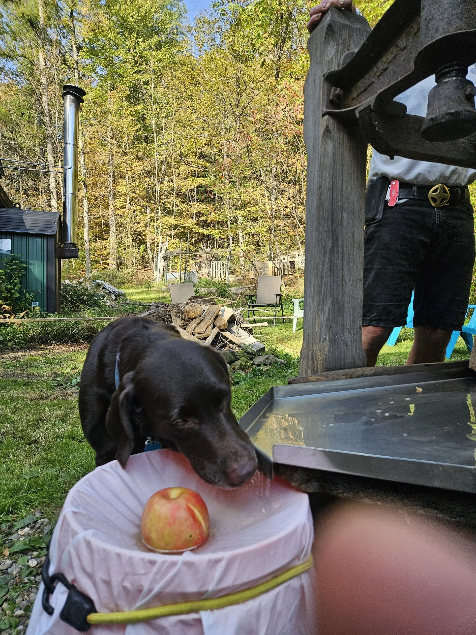 it has been a season