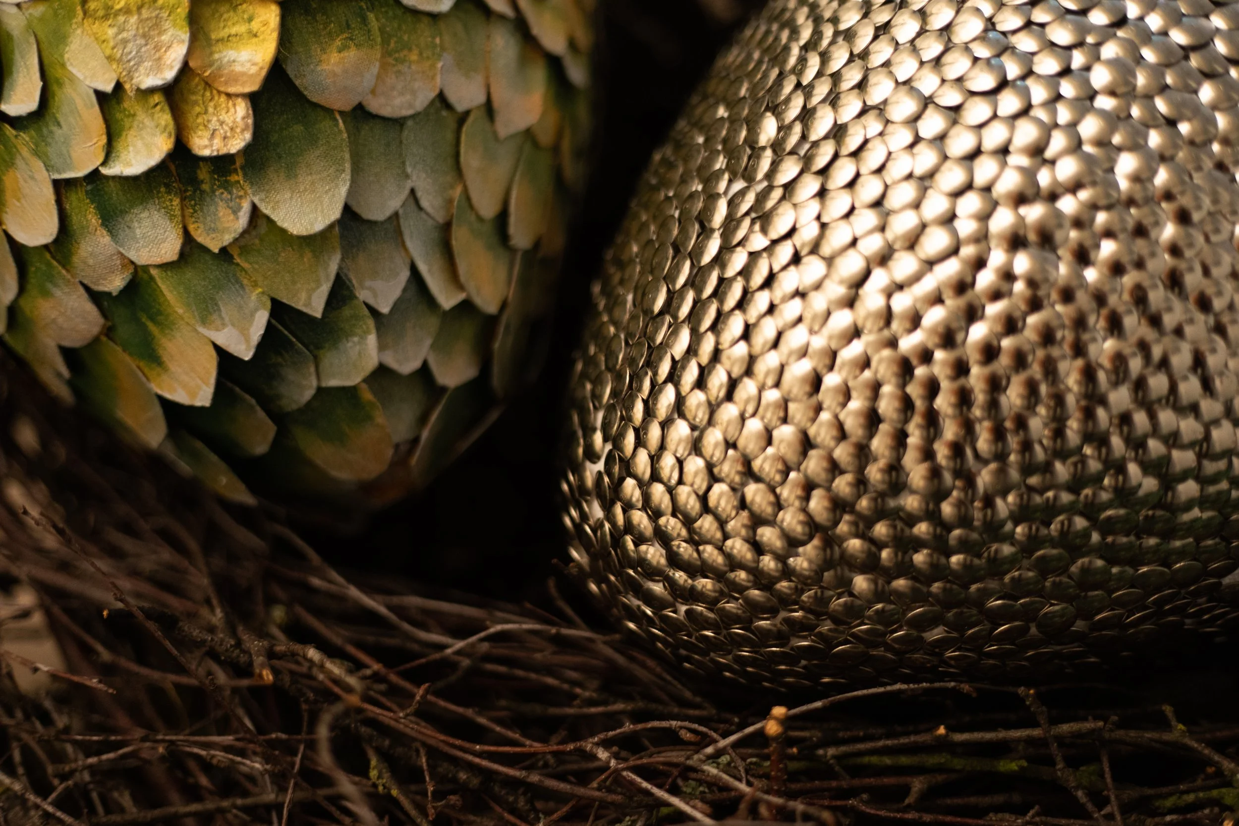  Dreaming Woods / Frankie Sleptsov